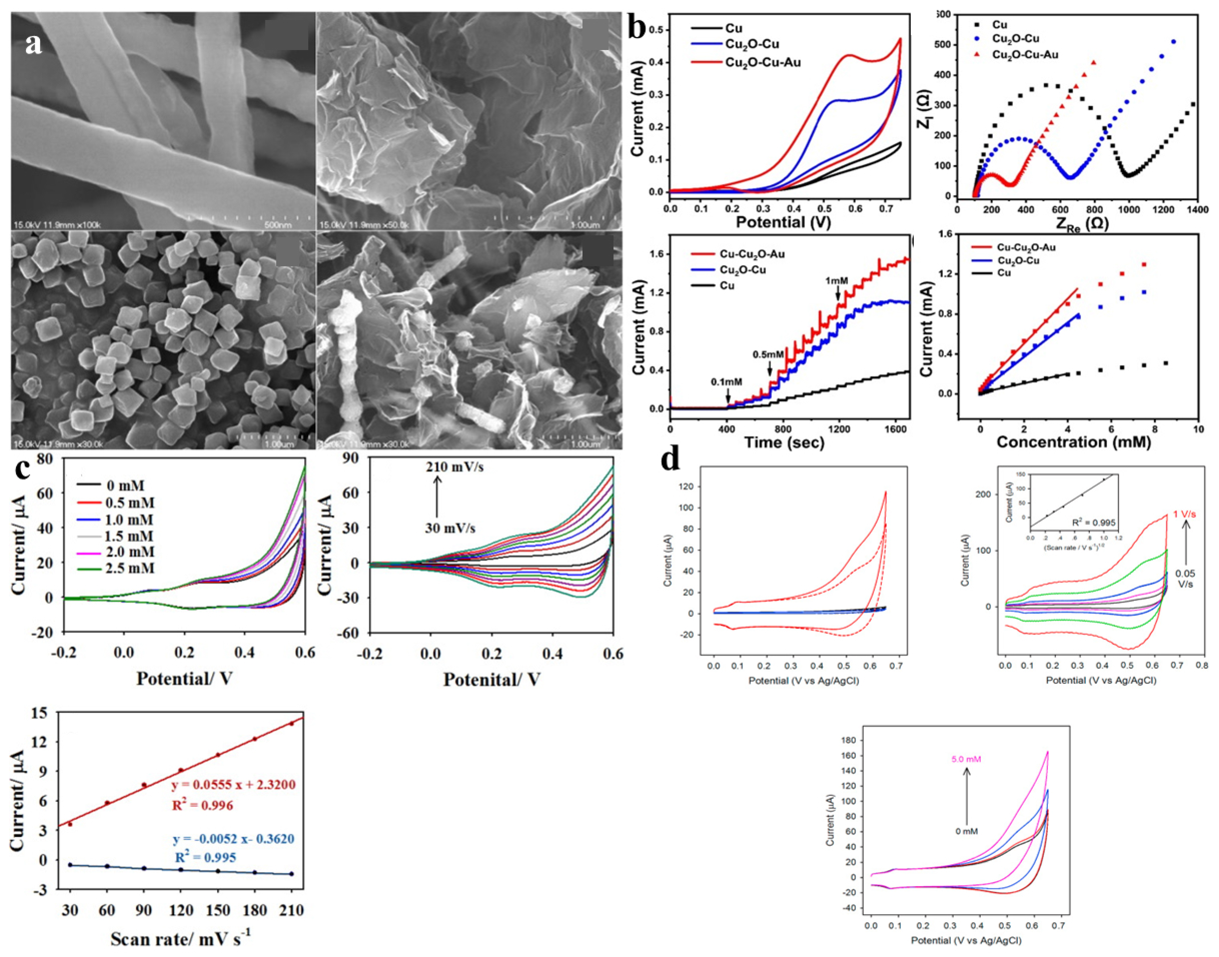 Molecules 28 04891 g004 Molecules 28 04891 g004