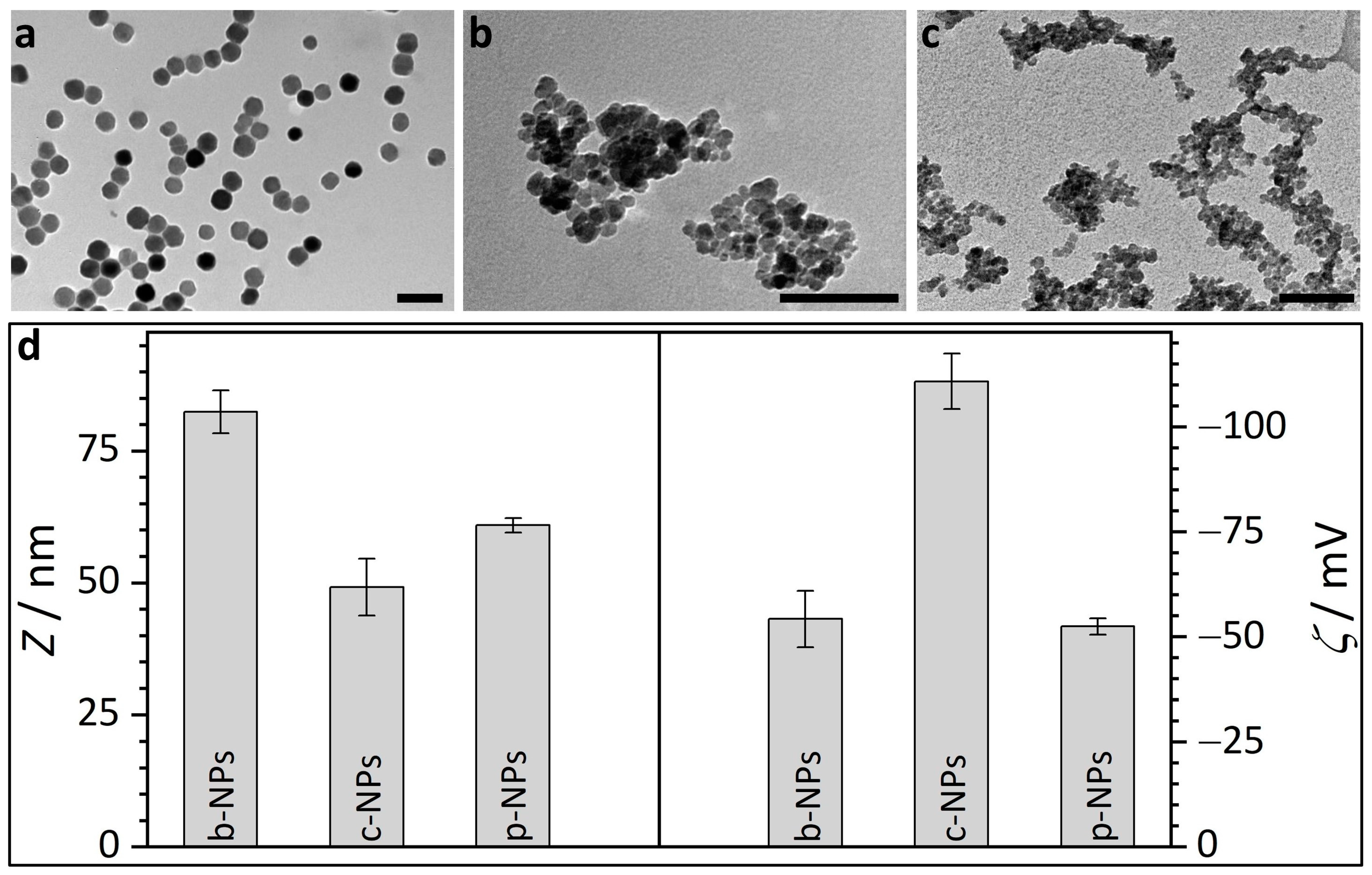 Molecules 28 04895 g001 Molecules 28 04895 g001