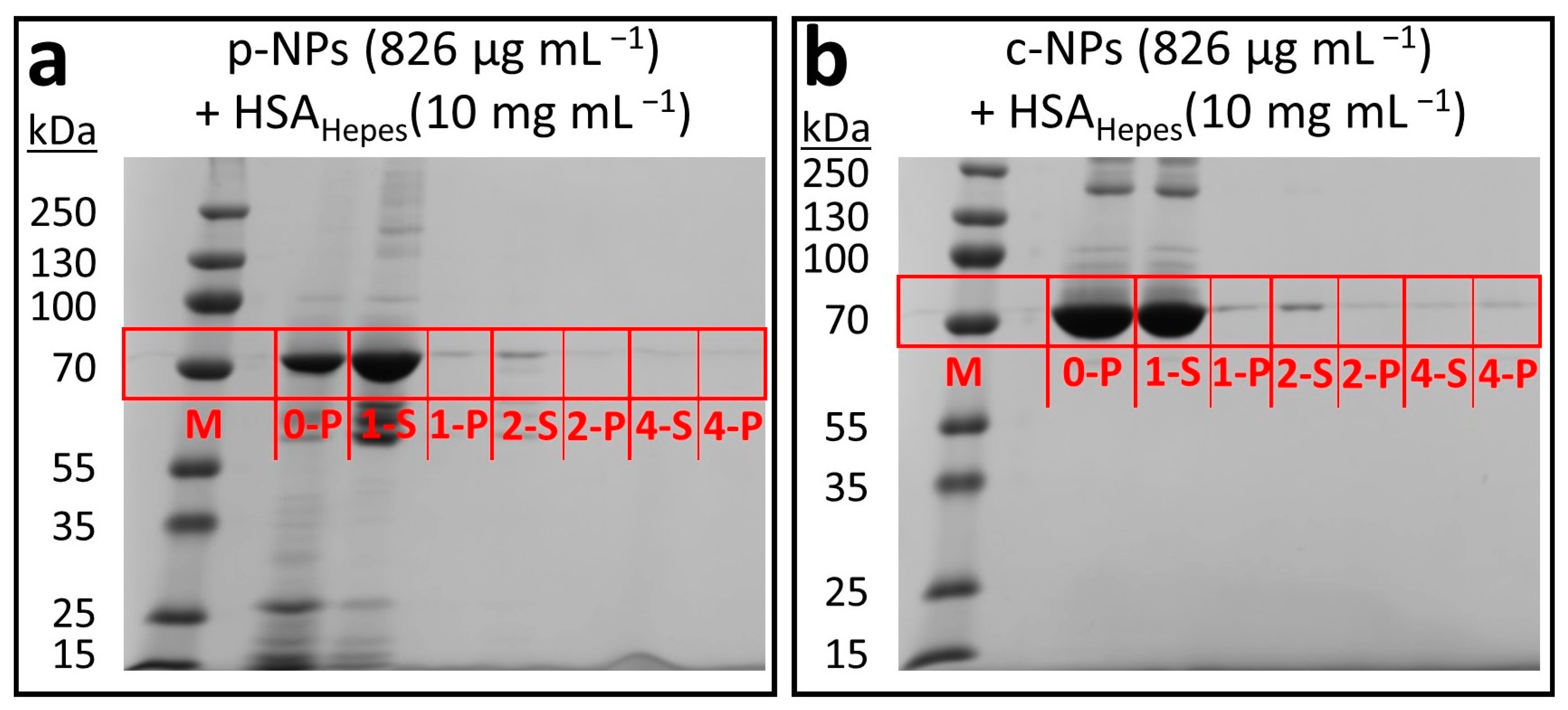 Molecules 28 04895 g005 Molecules 28 04895 g005