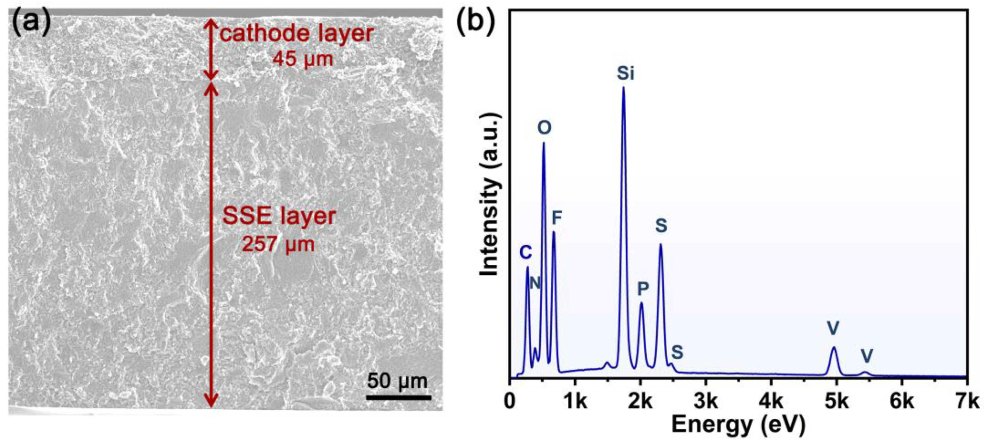 Molecules 28 04896 g009