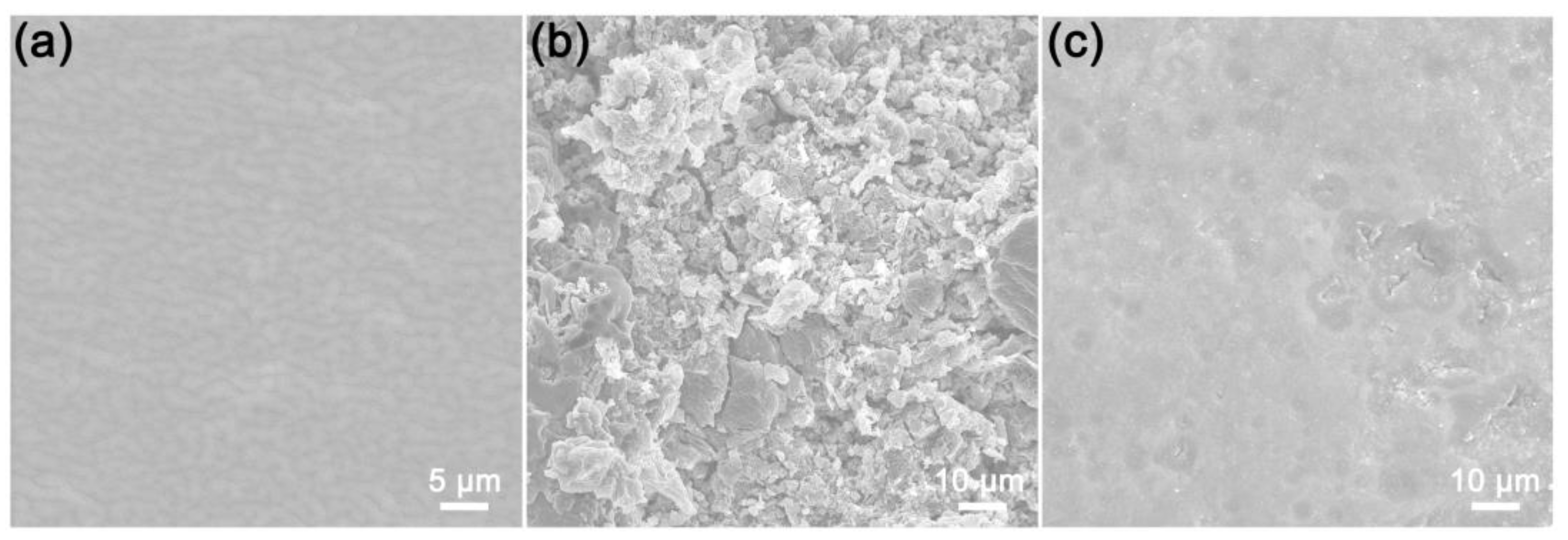 Molecules 28 04896 g011