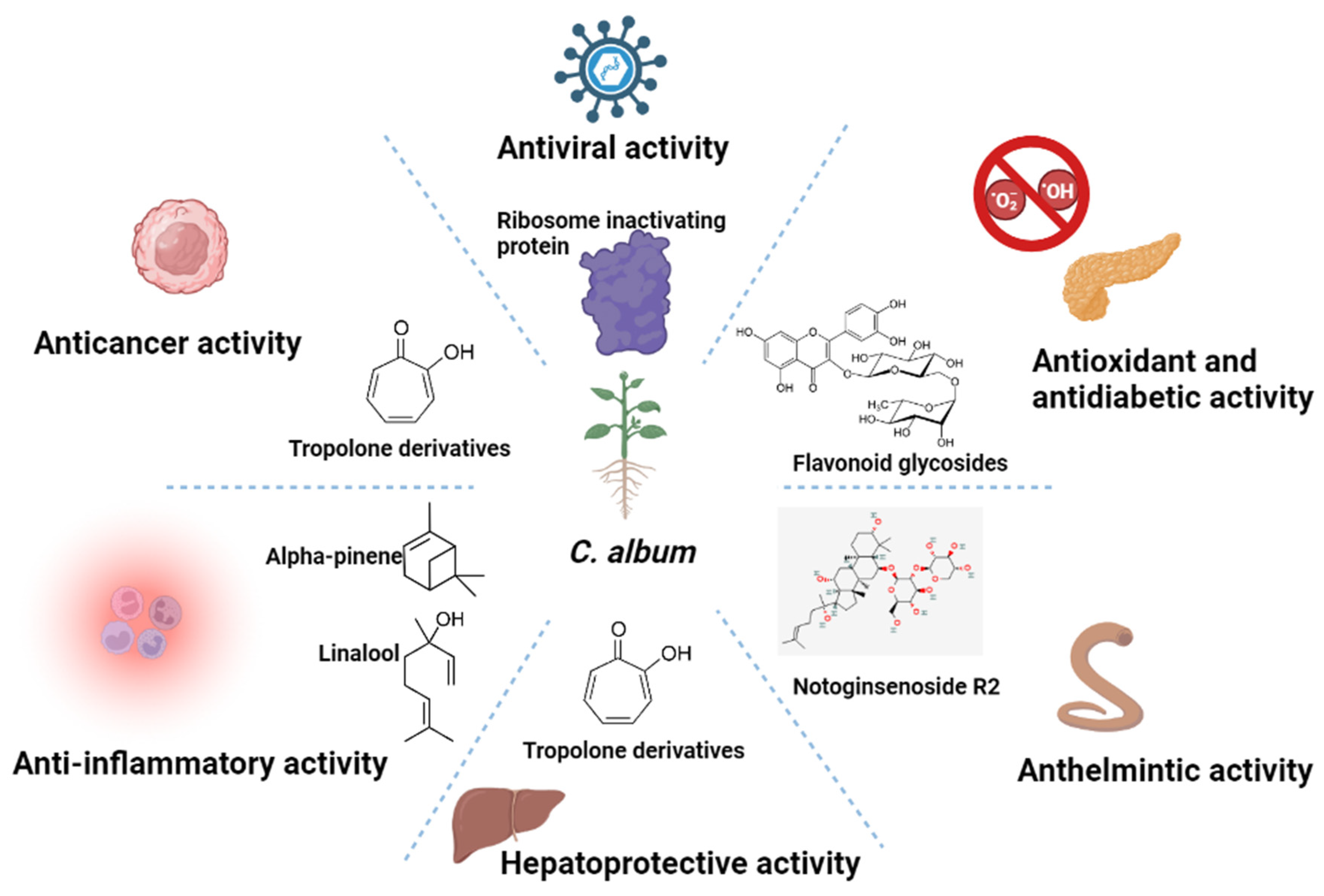 Molecules 28 04902 g002