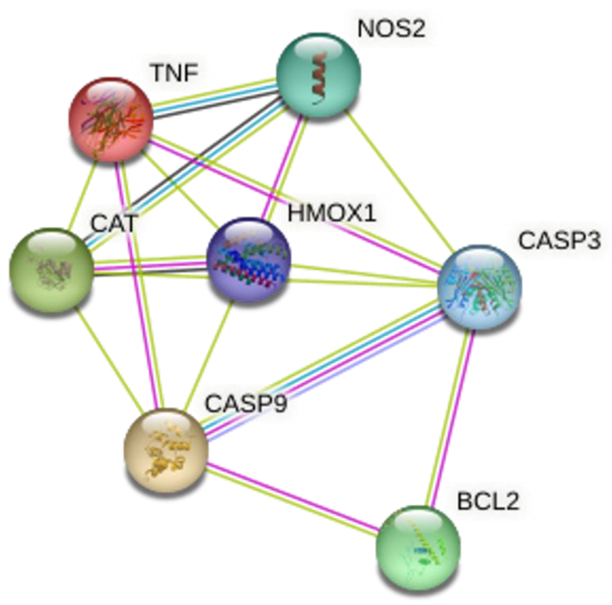 Molecules 28 04904 g007 Molecules 28 04904 g007