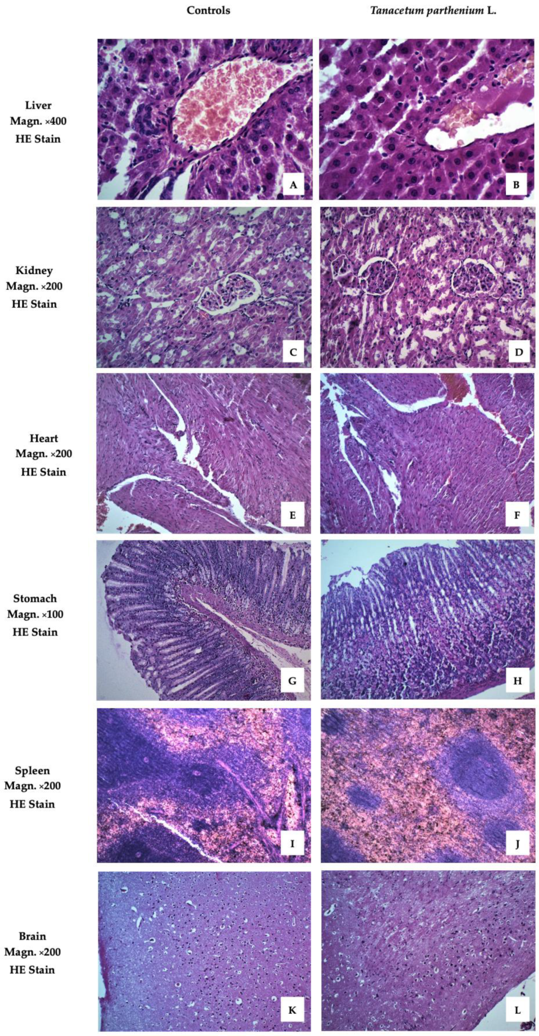 Molecules 28 04906 g002 Molecules 28 04906 g002