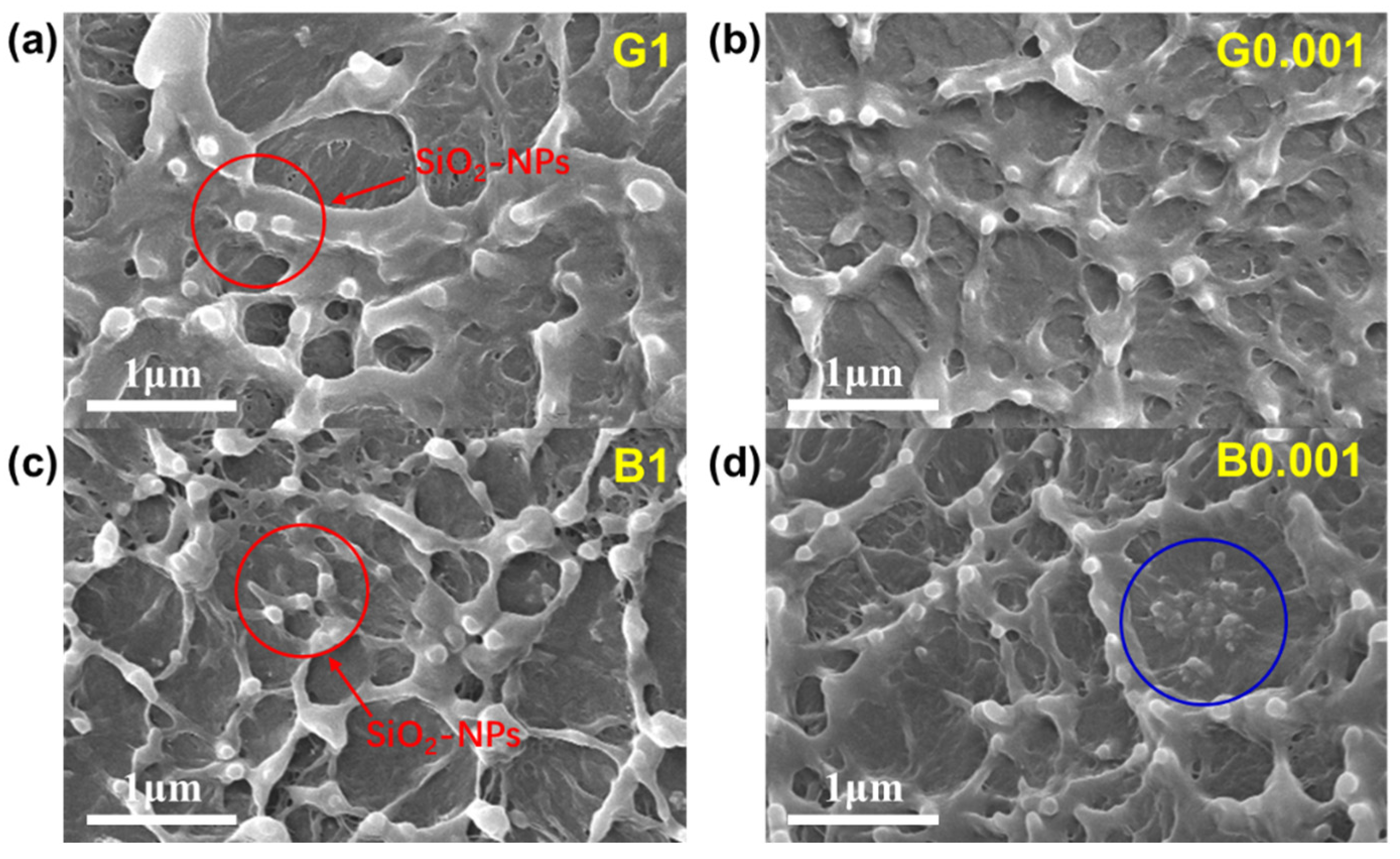 Molecules 28 04908 g005 Molecules 28 04908 g005