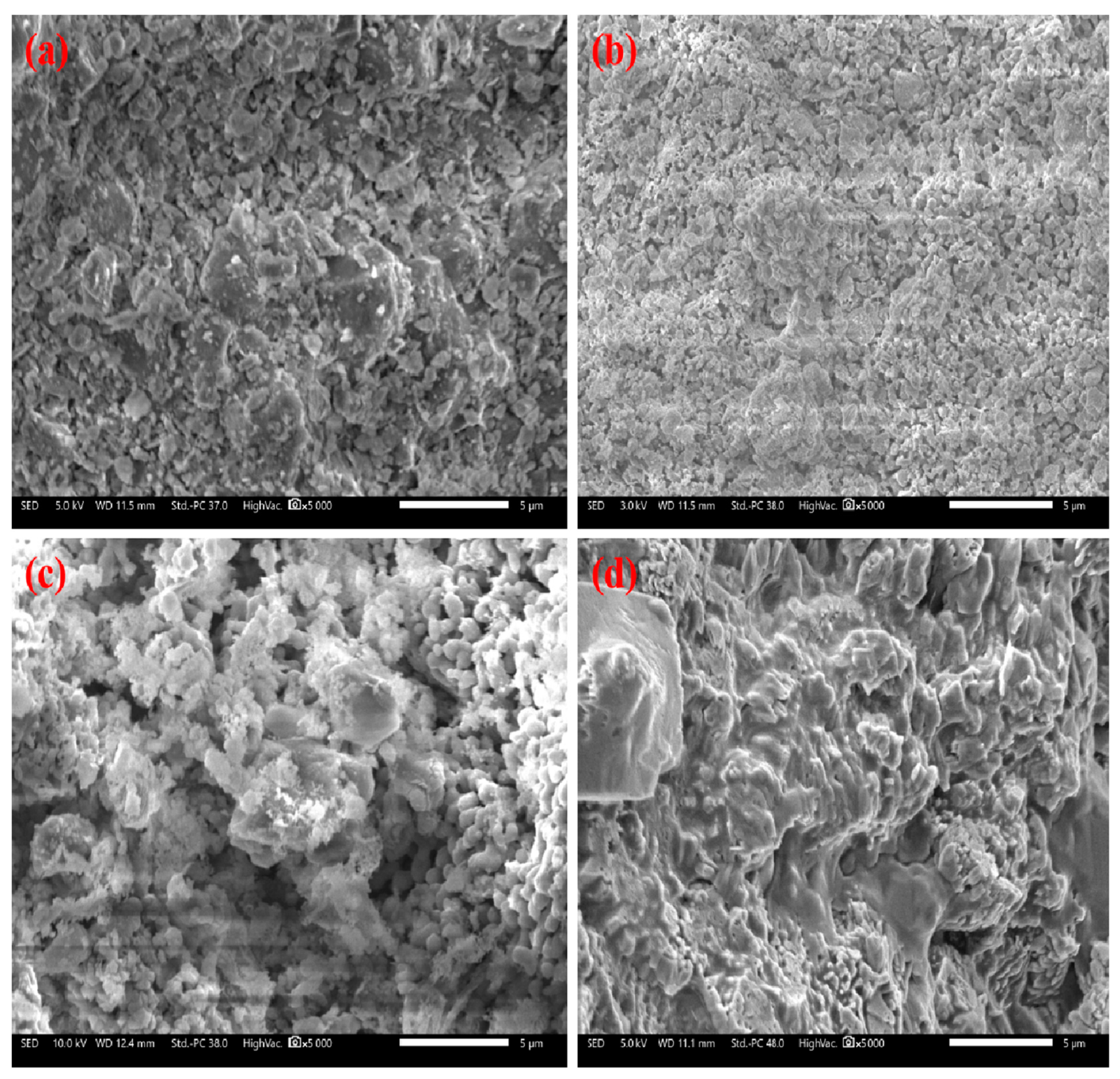 Molecules 28 04910 g011 Molecules 28 04910 g011