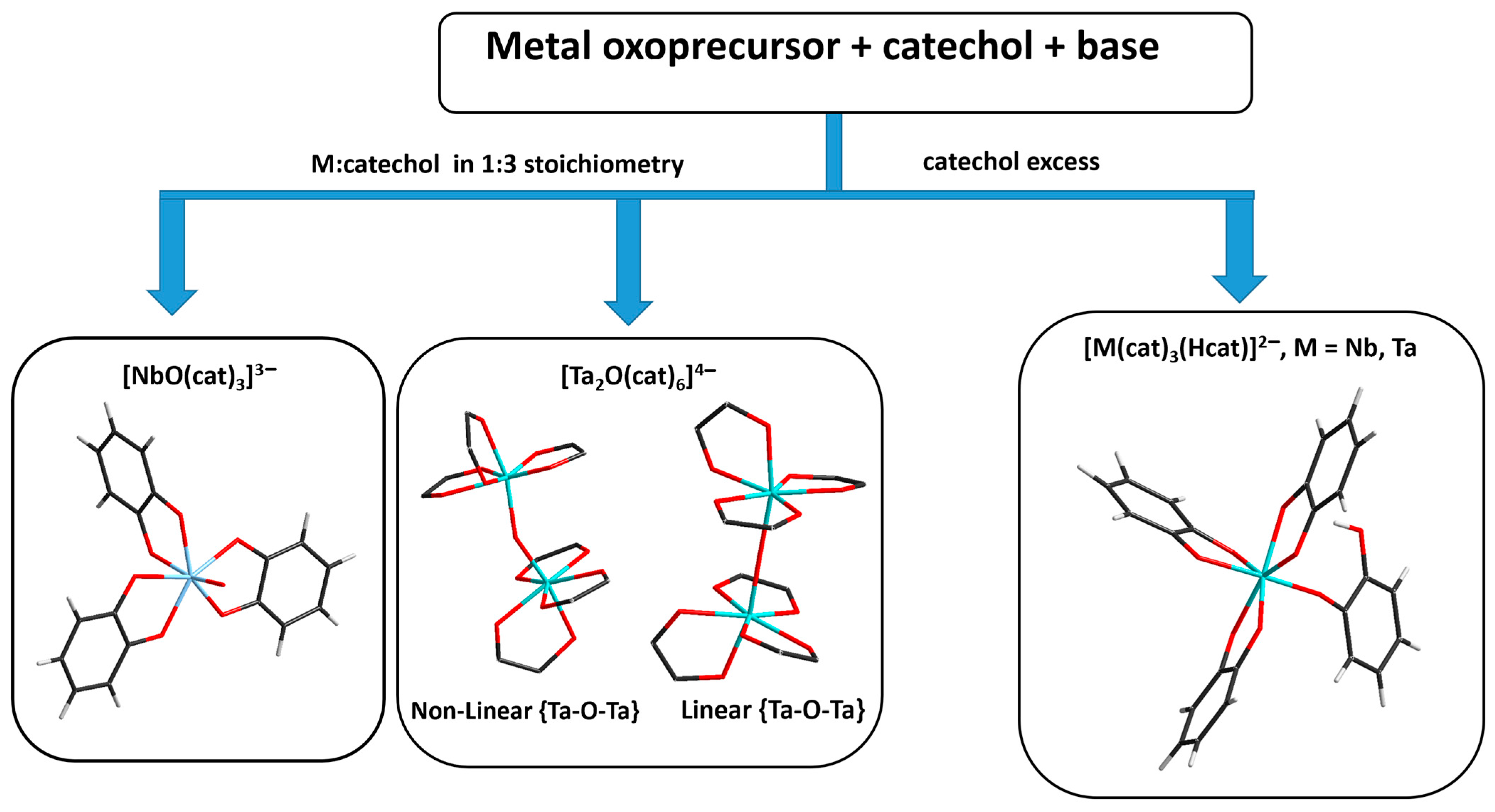 Molecules 28 04912 g007