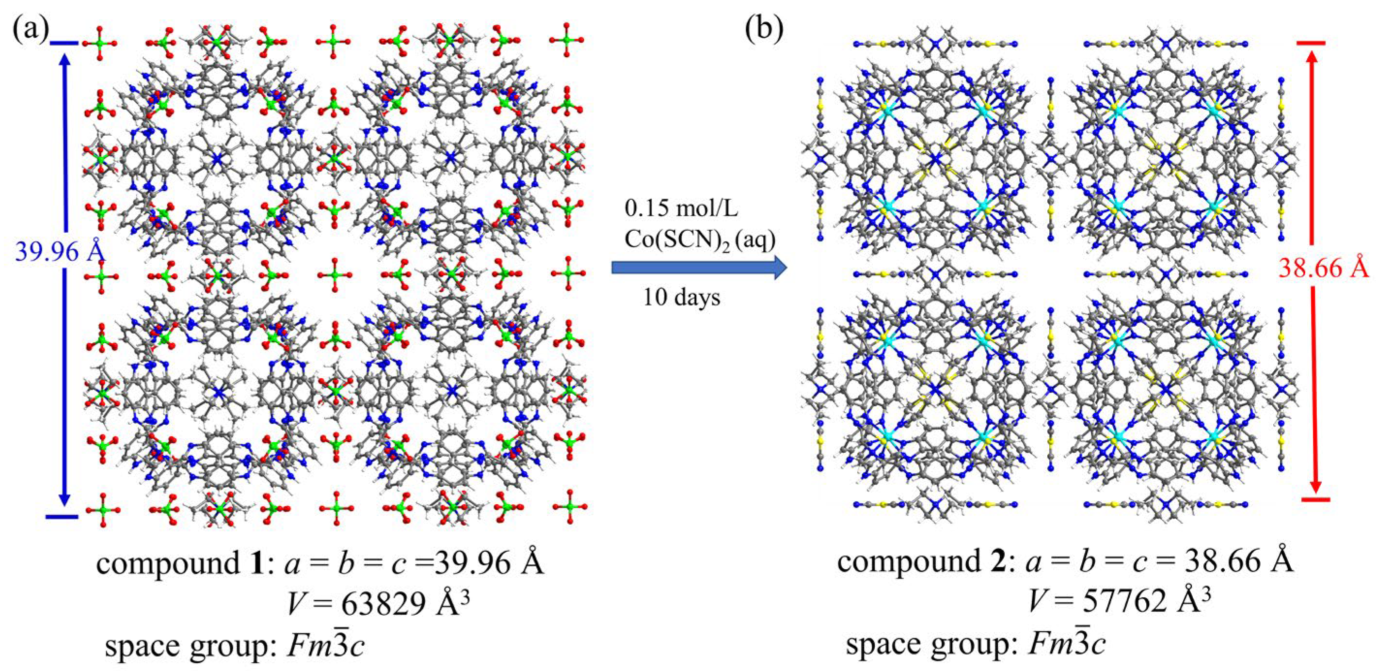 素敵な Metalation π of Consisting Self-Assembly Hierarchical a of その他
