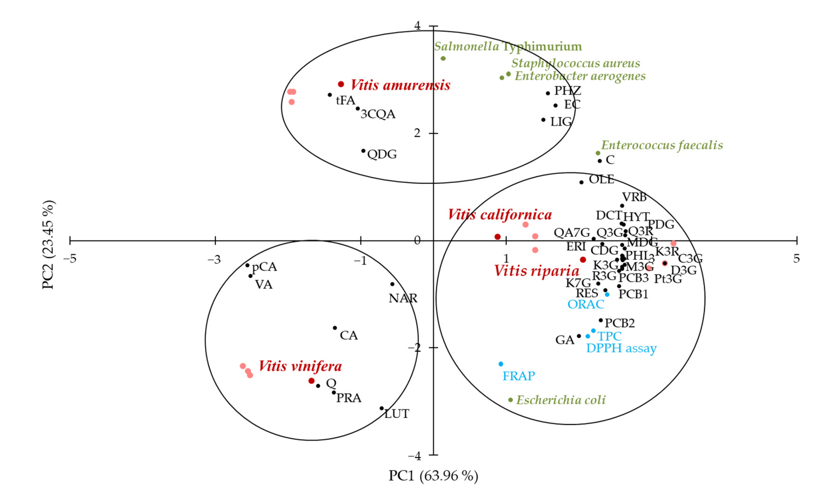 Molecules 28 04924 g003