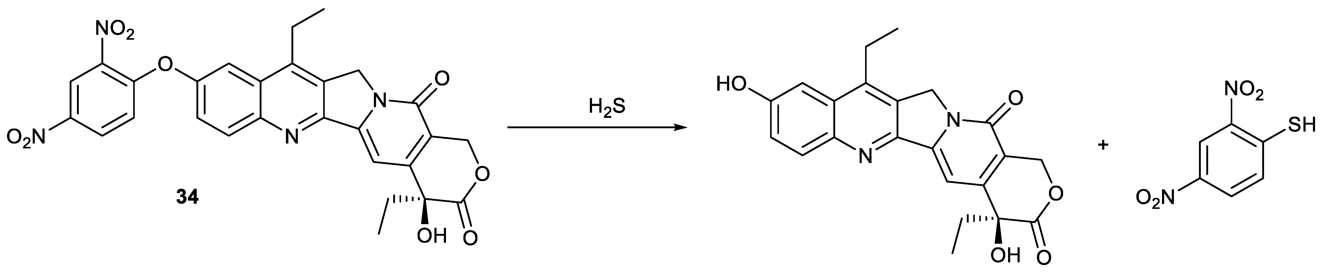 Molecules 28 04931 g010