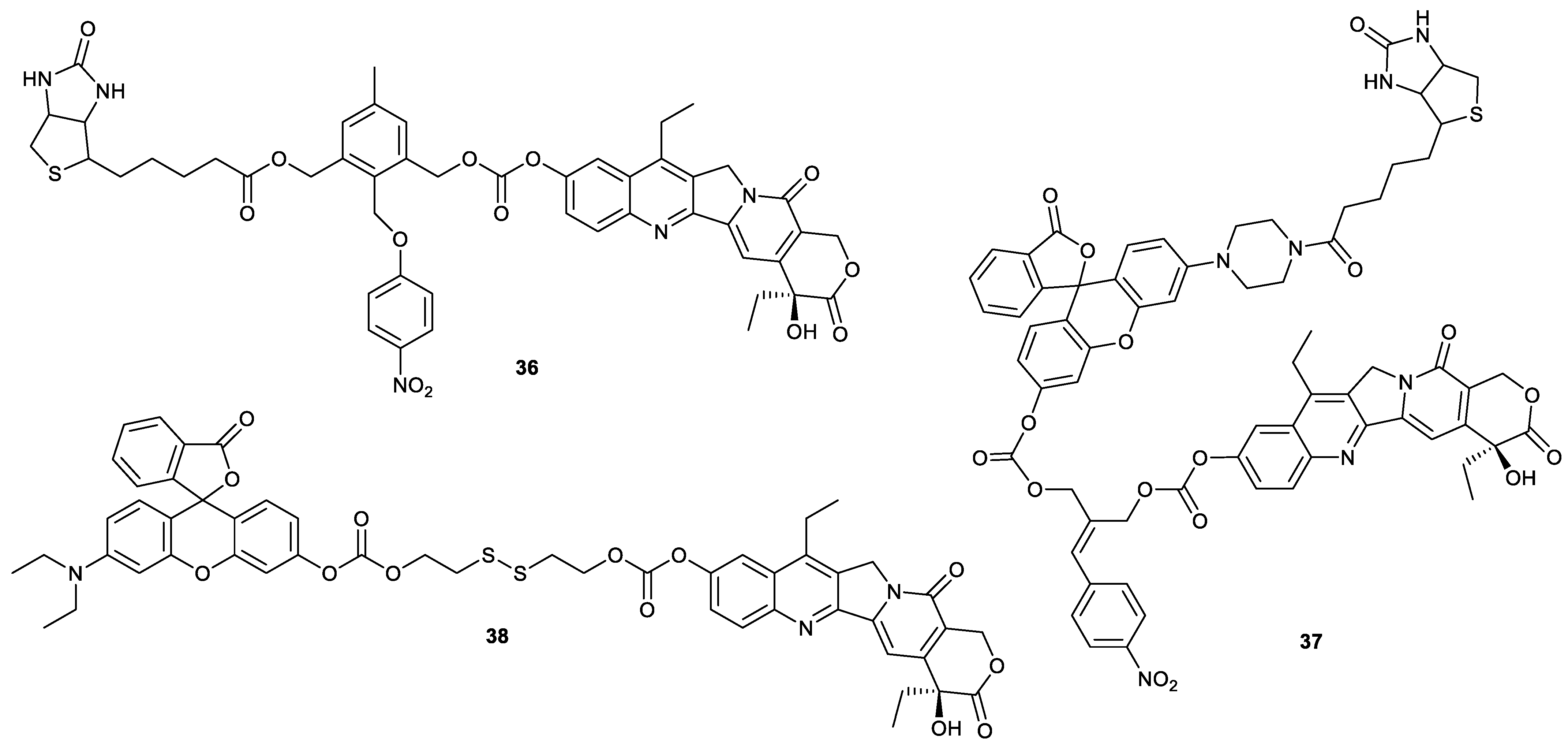 Molecules 28 04931 g012