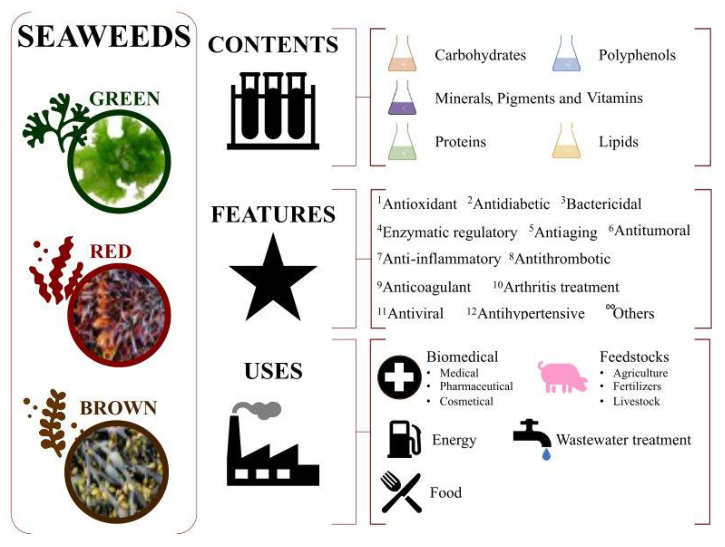 Molecules Free FullText Antioxidant and Antidiabetic Properties of