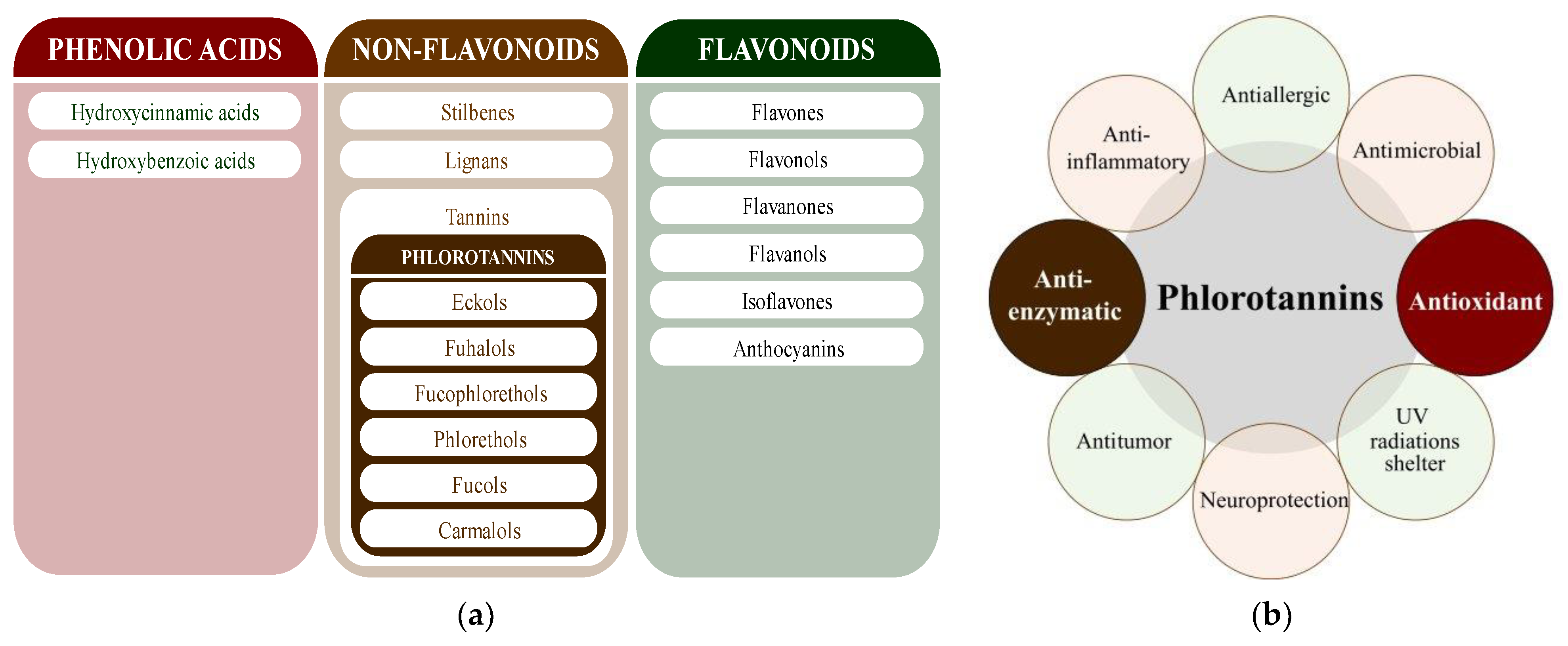 Molecules 28 04937 g003 Molecules 28 04937 g003