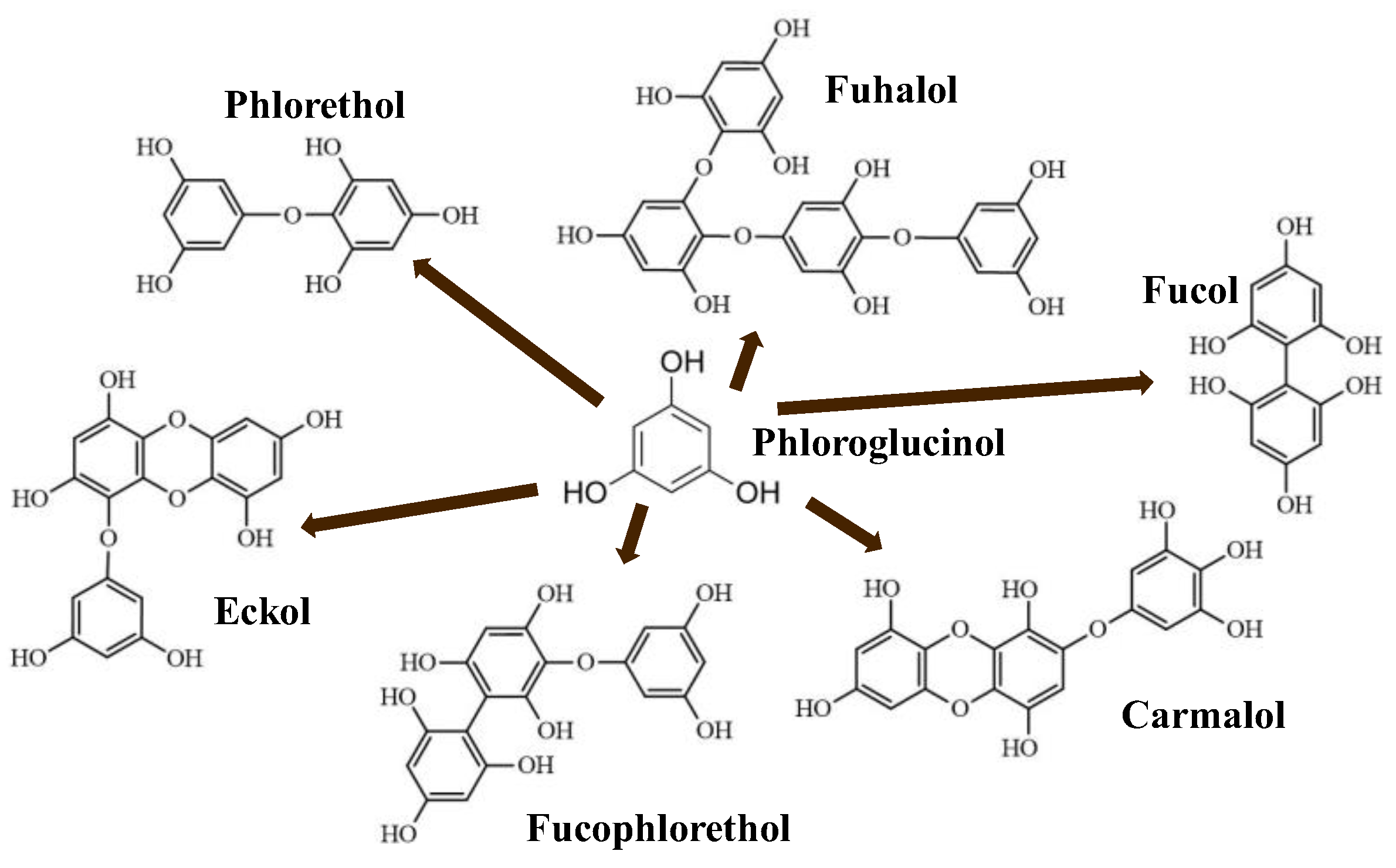 Molecules 28 04937 g004 Molecules 28 04937 g004