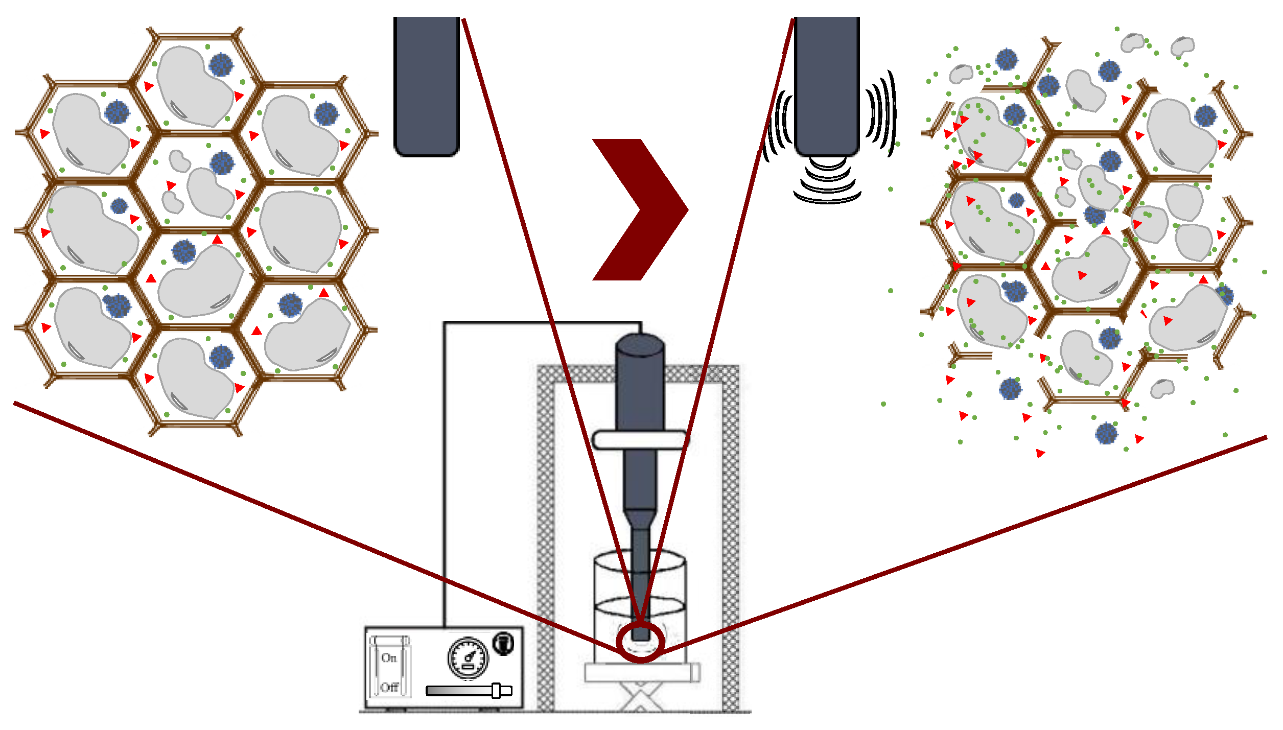 Molecules 28 04937 g007 Molecules 28 04937 g007