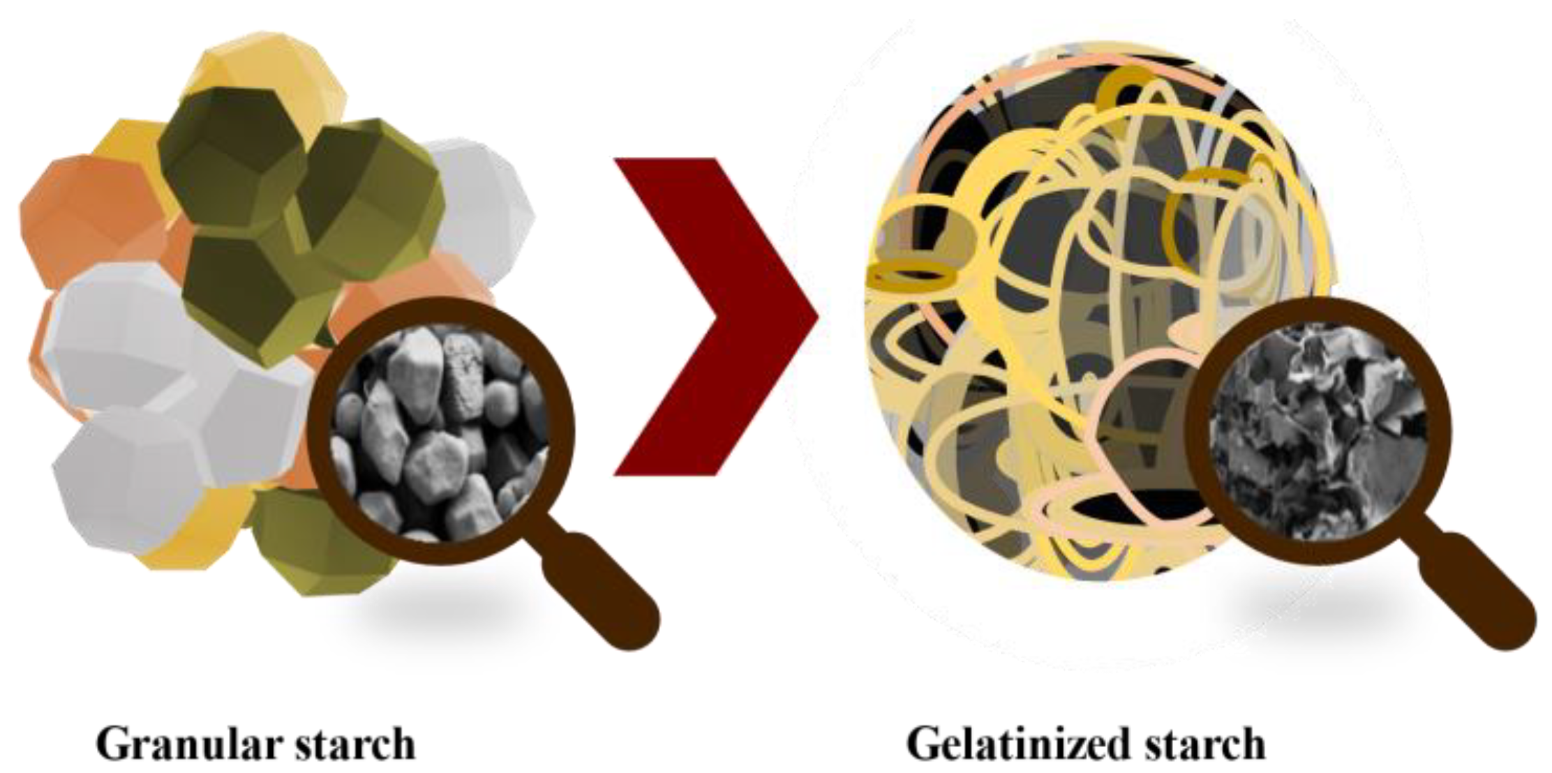 Molecules 28 04937 g010 Molecules 28 04937 g010