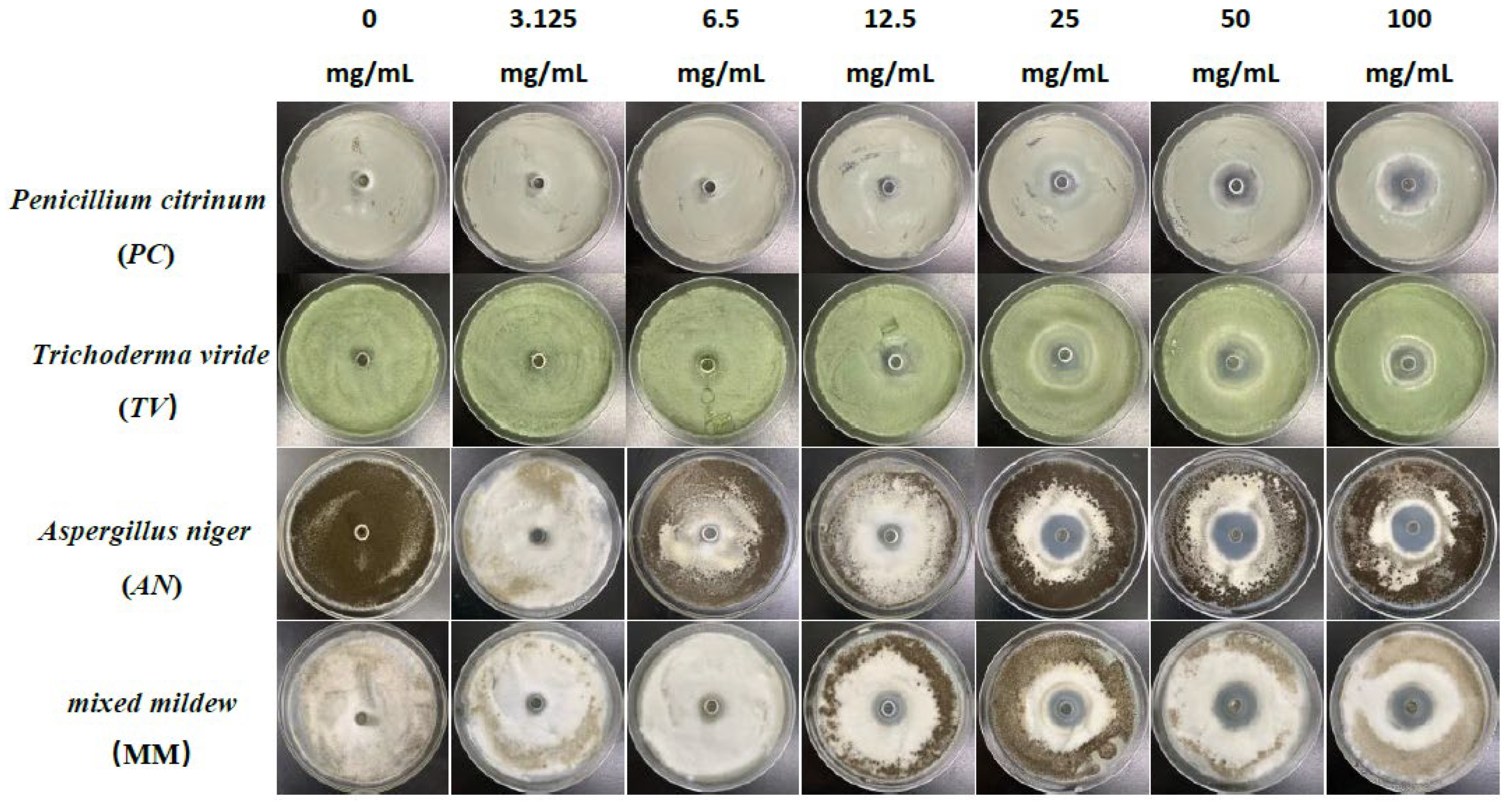 Molecules 28 04941 g001