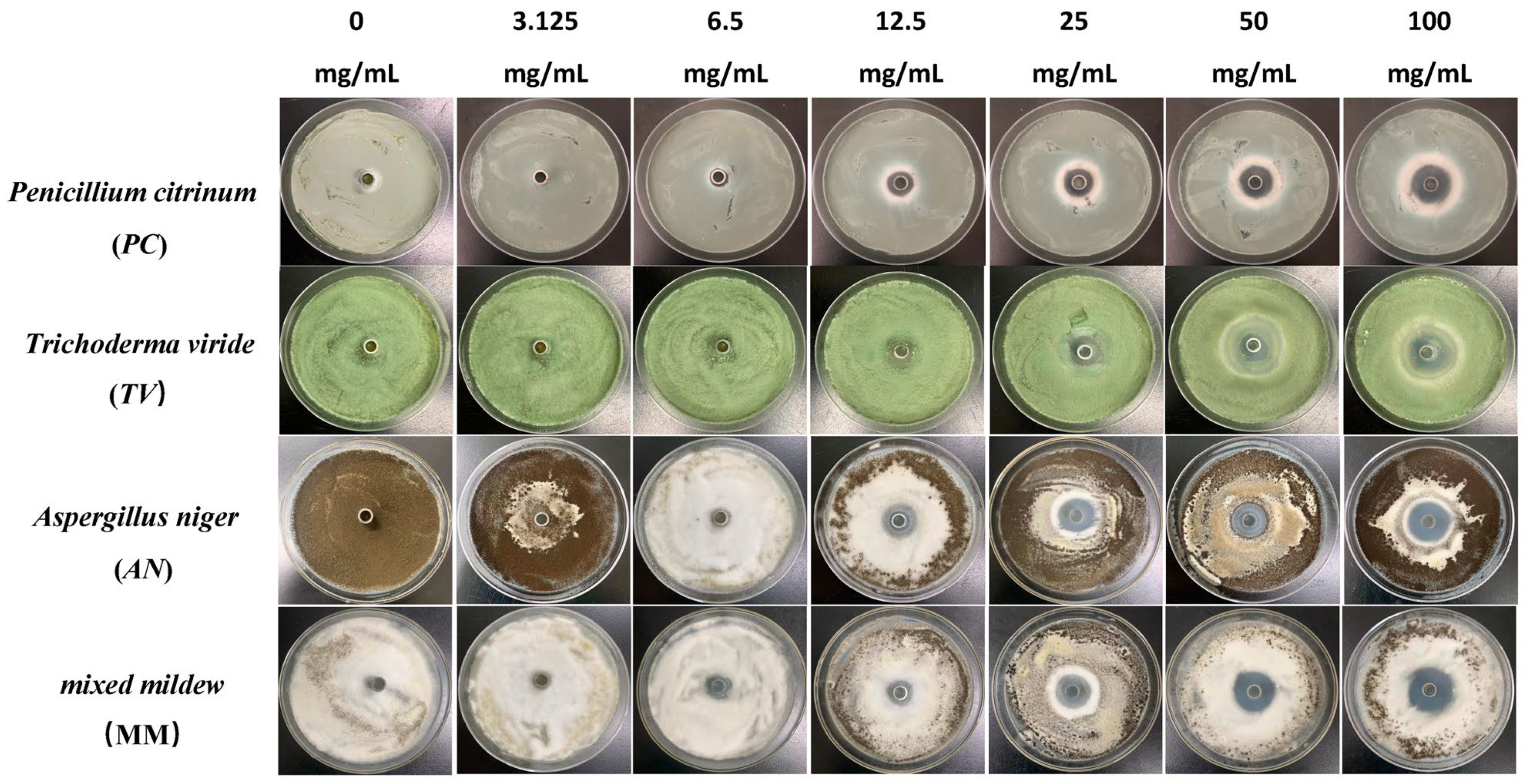 Molecules 28 04941 g002