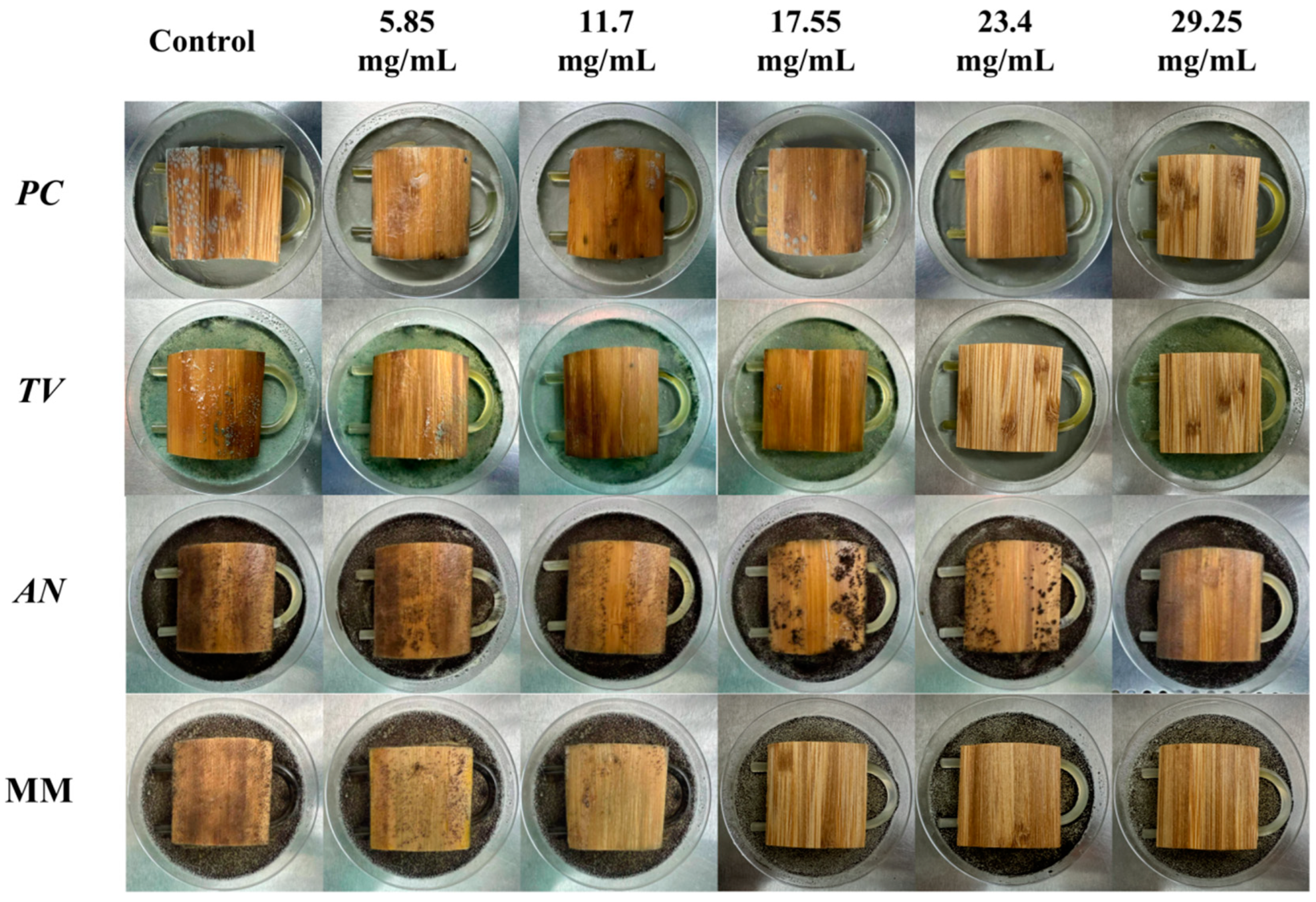 Molecules 28 04941 g012