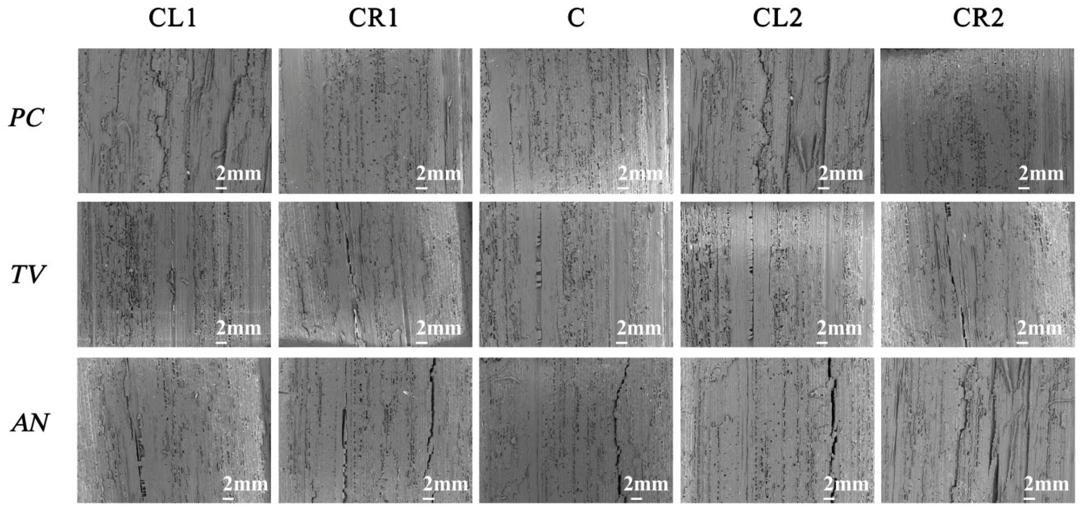 Molecules 28 04941 g014