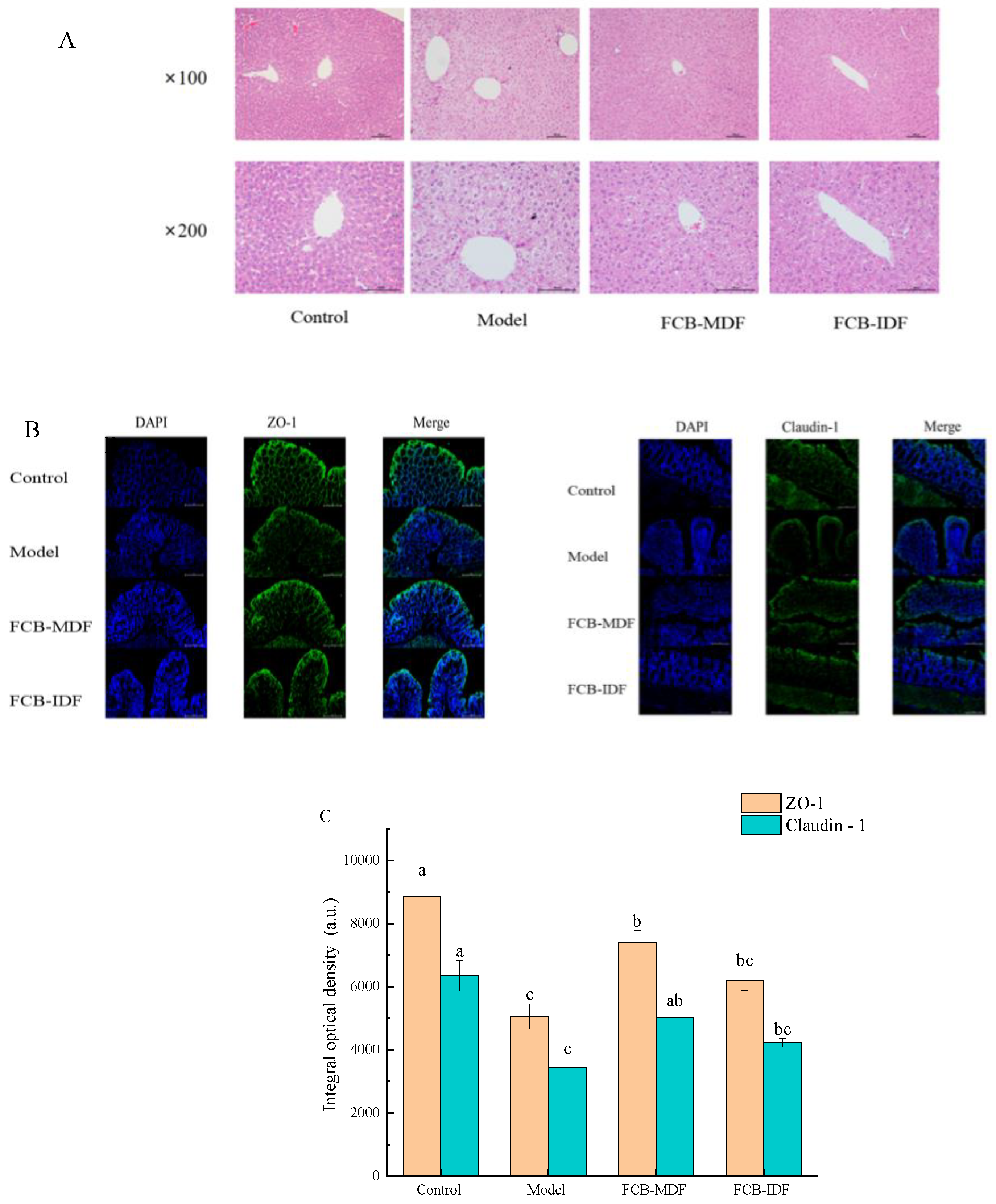 Molecules 28 04949 g004