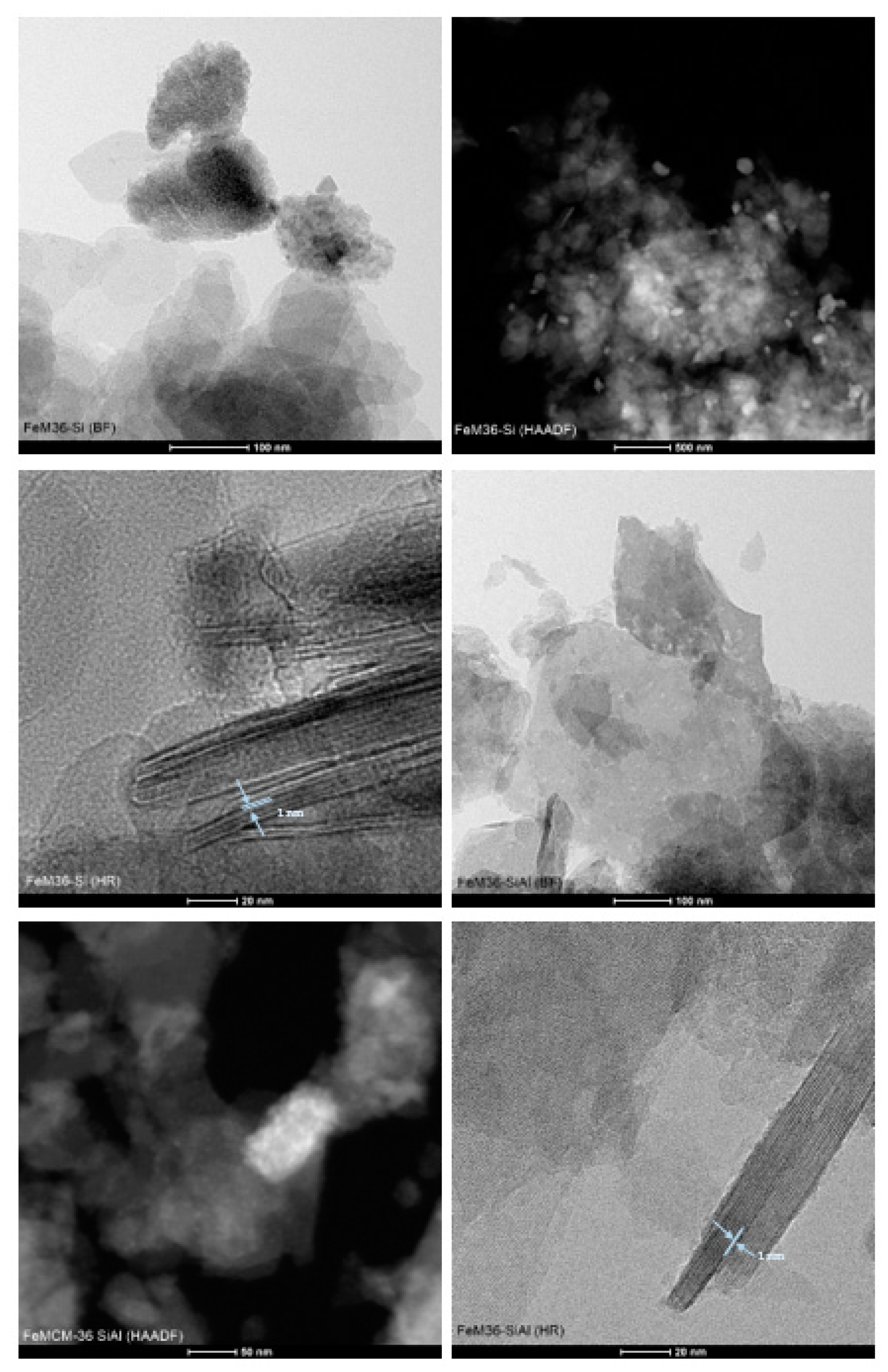 Molecules 28 04960 g005b Molecules 28 04960 g005b