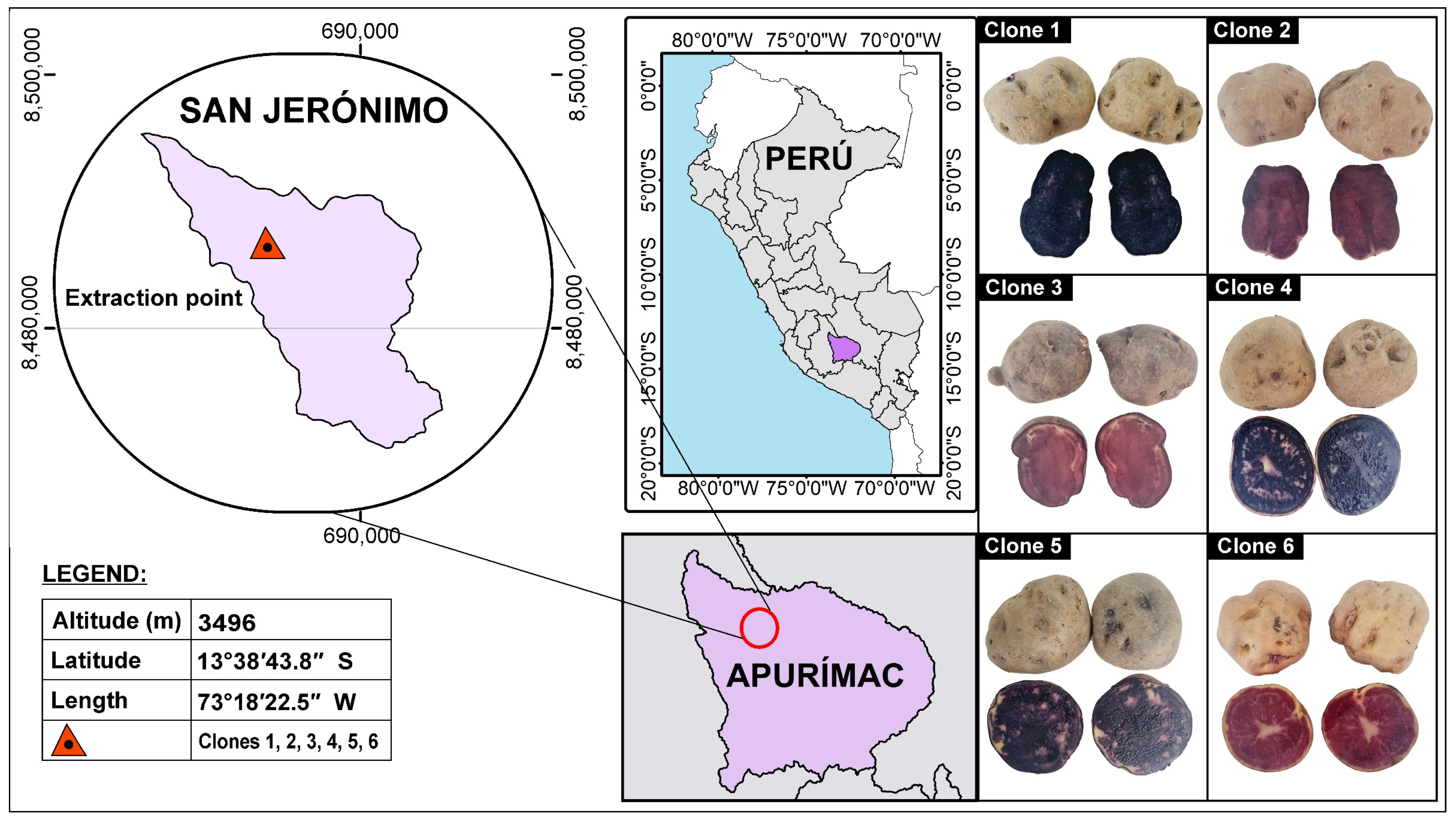 Molecules 28 04961 g006 Molecules 28 04961 g006