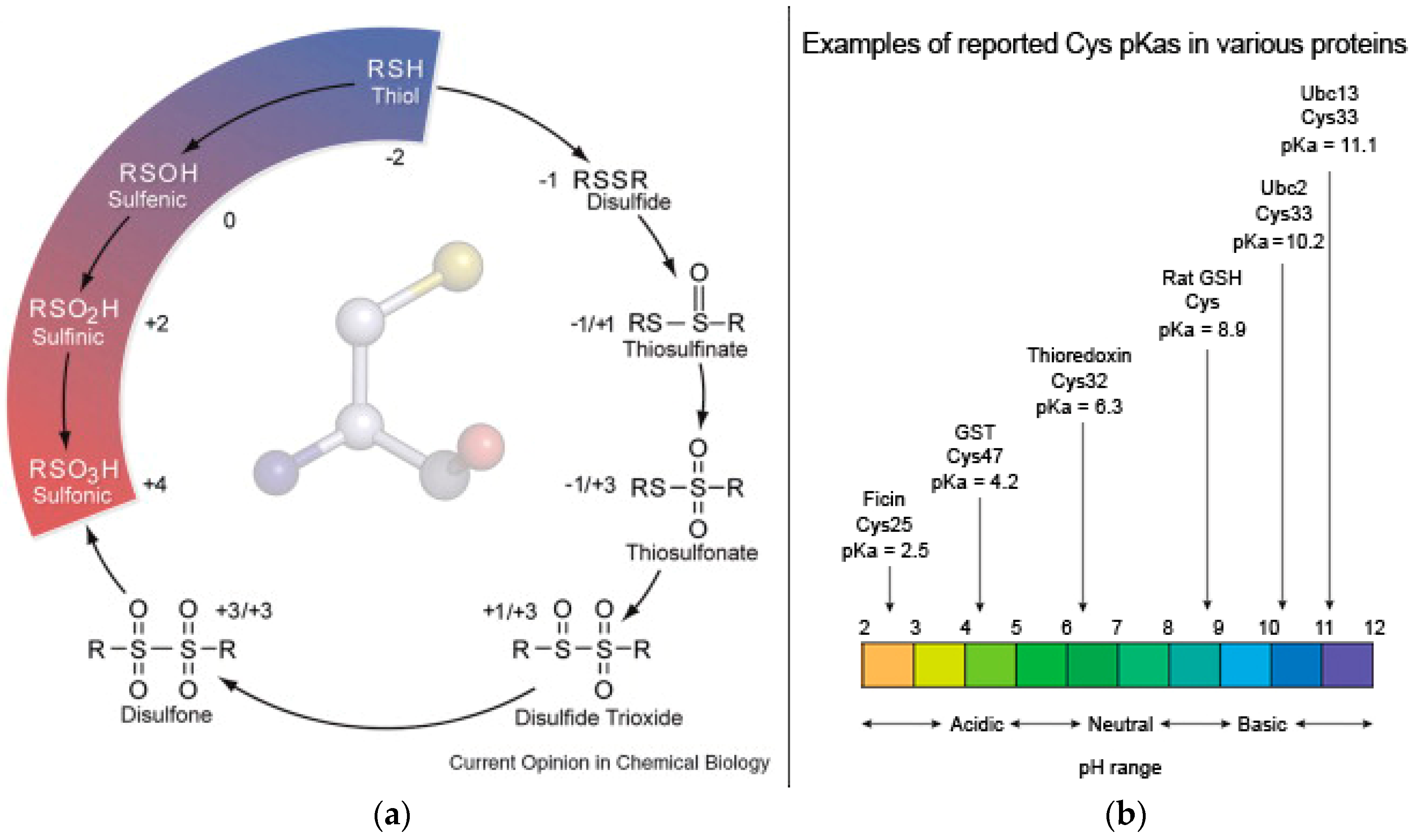 Molecules 28 04970 g001 Molecules 28 04970 g001
