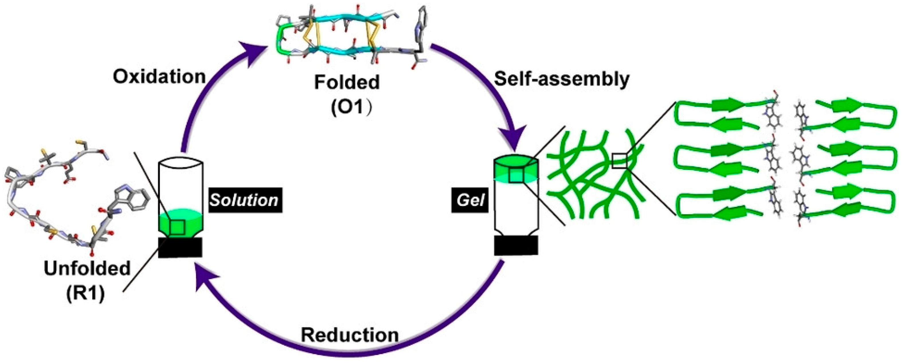 Molecules 28 04970 g002 Molecules 28 04970 g002