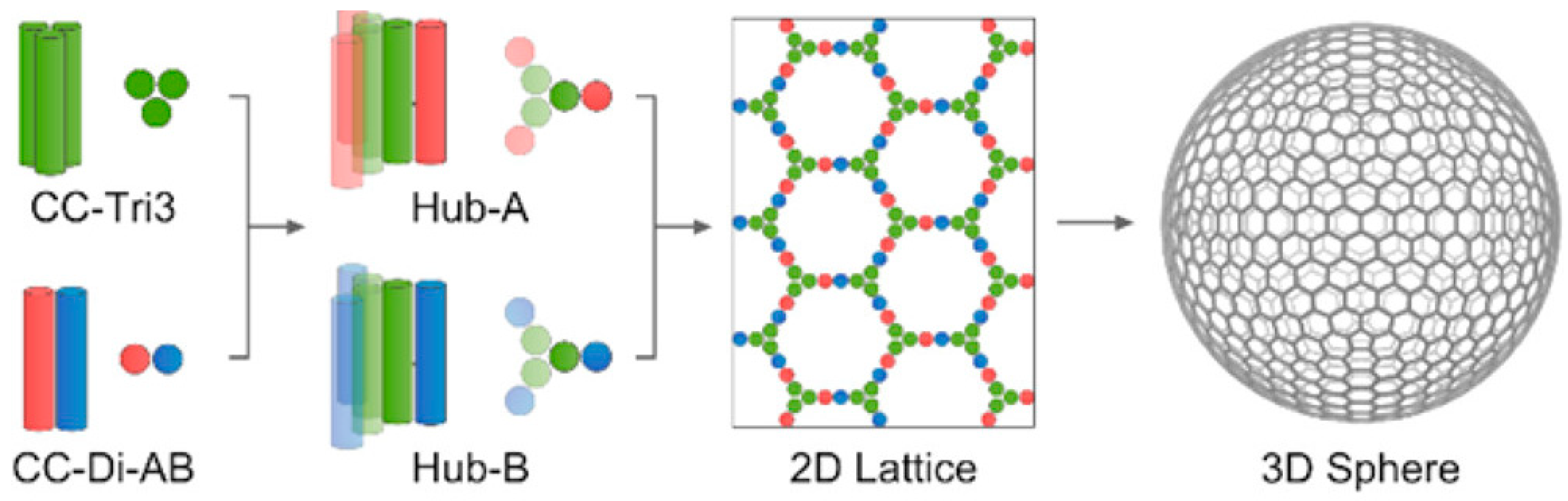 Molecules 28 04970 g004 Molecules 28 04970 g004