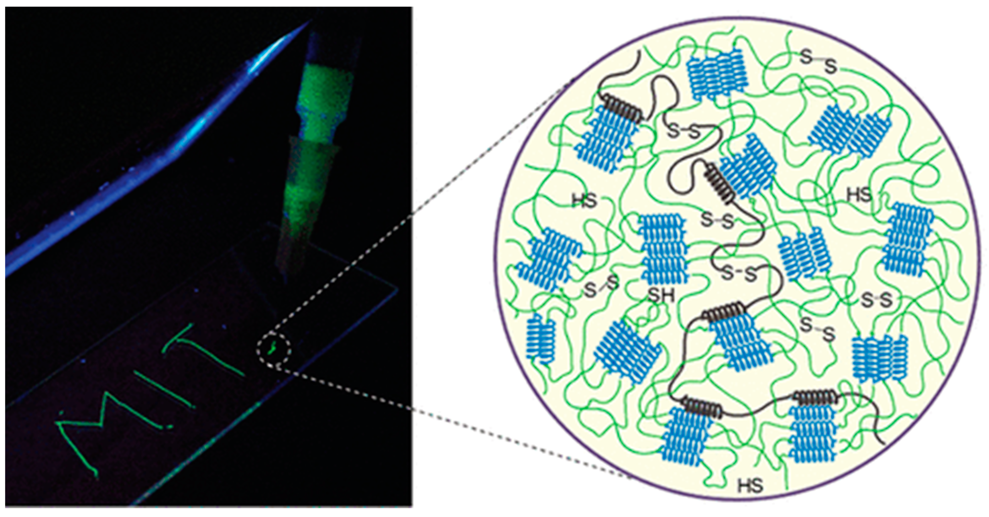 Molecules 28 04970 g005 Molecules 28 04970 g005