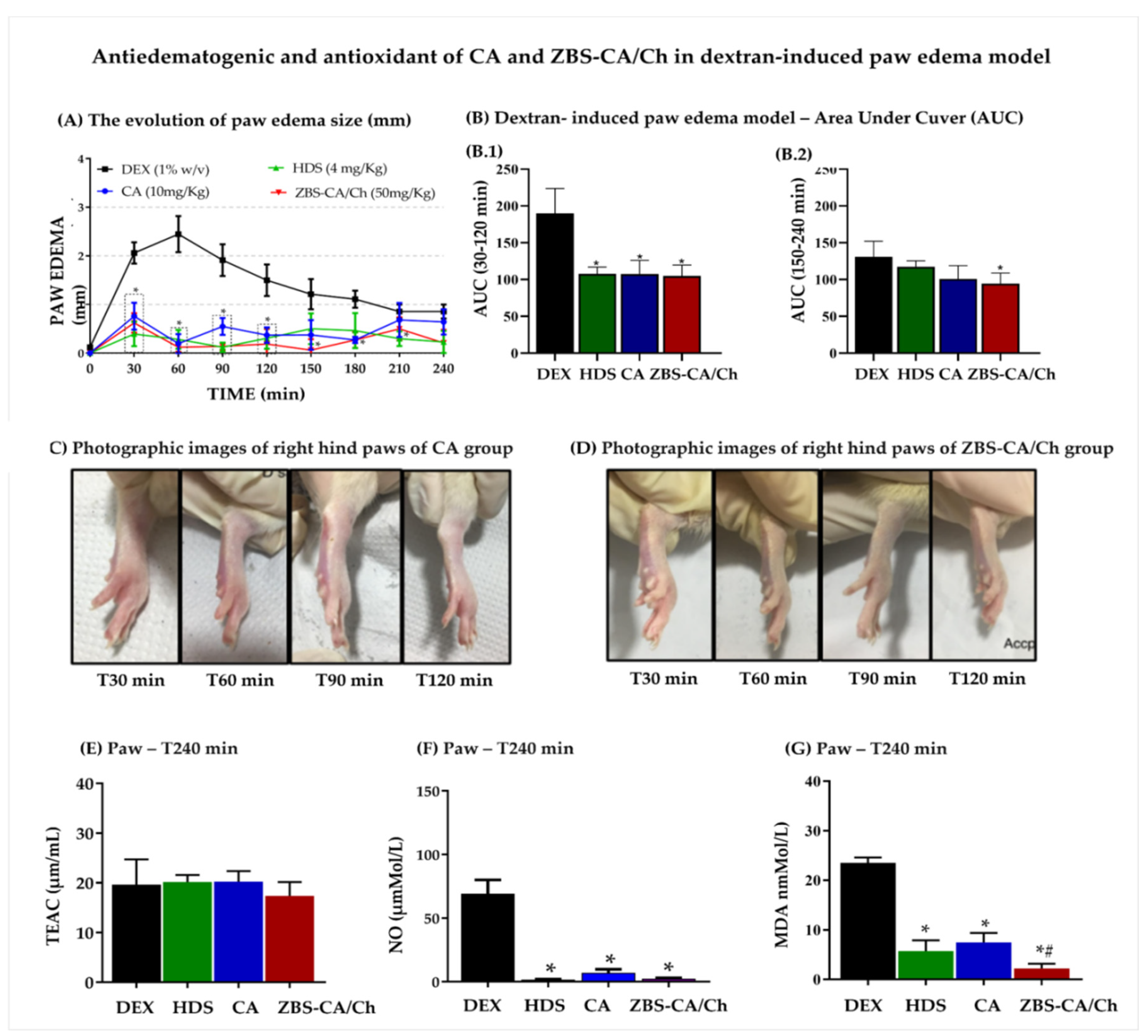 Molecules 28 04973 g005 Molecules 28 04973 g005