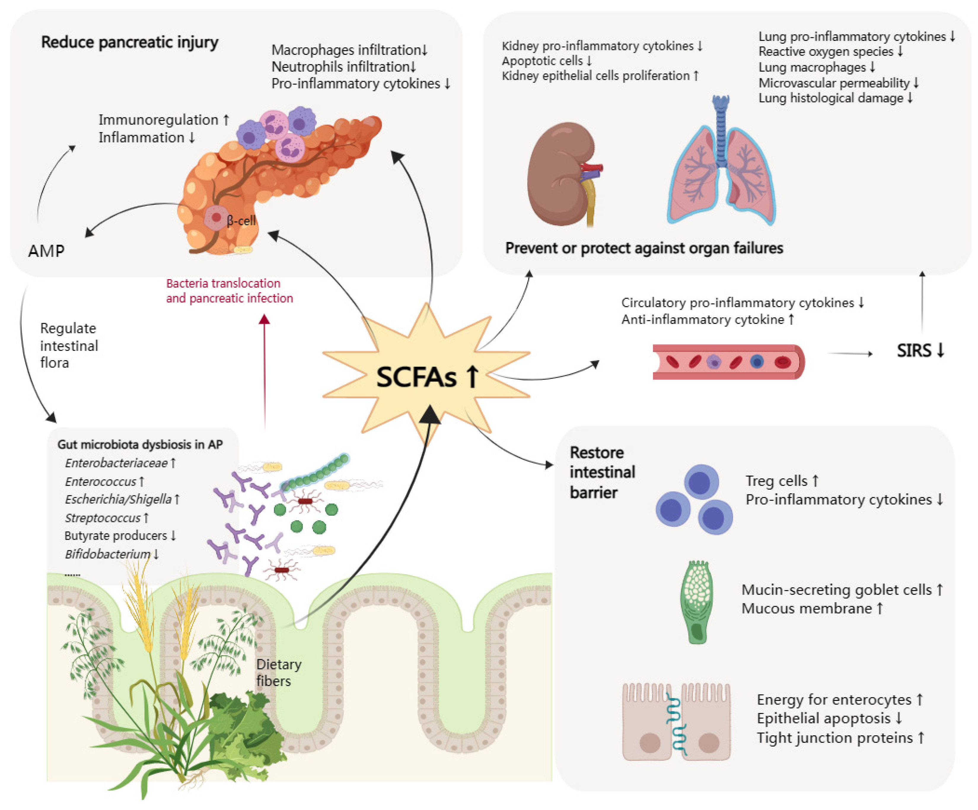 Molecules 28 04985 g001