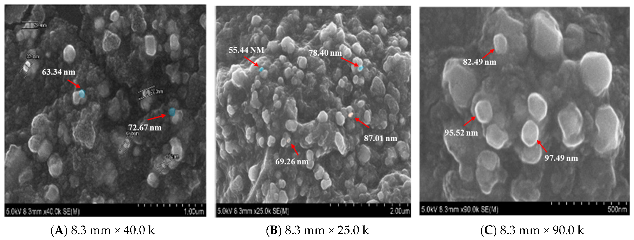 Molecules 28 04995 g003 Molecules 28 04995 g003