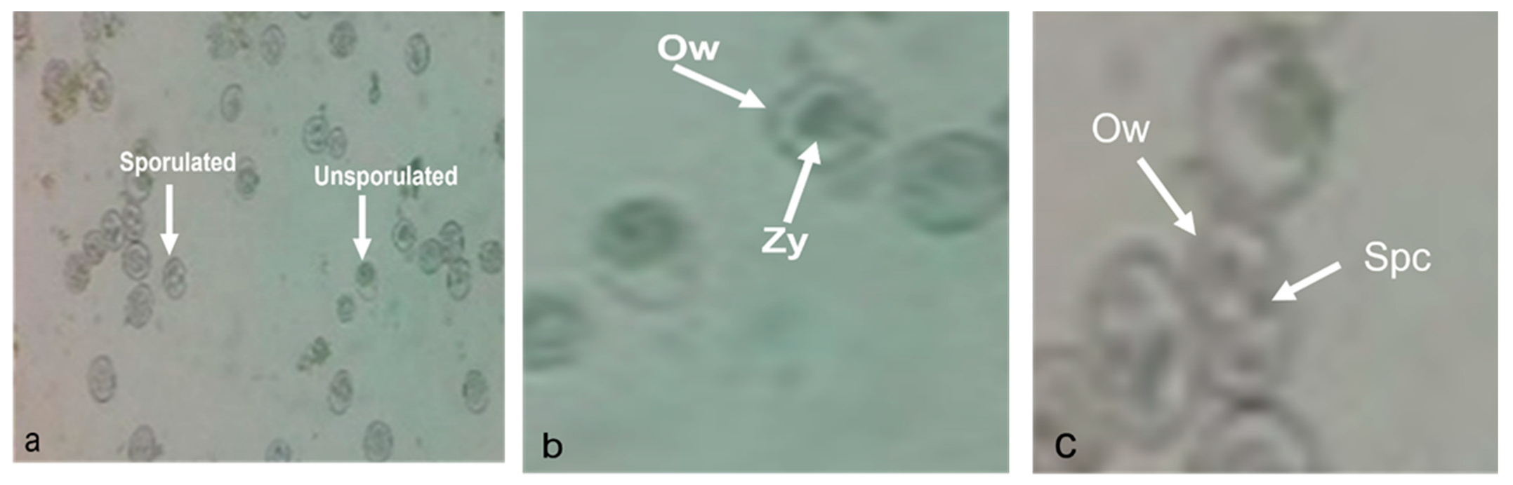 Molecules 28 04995 g007 Molecules 28 04995 g007