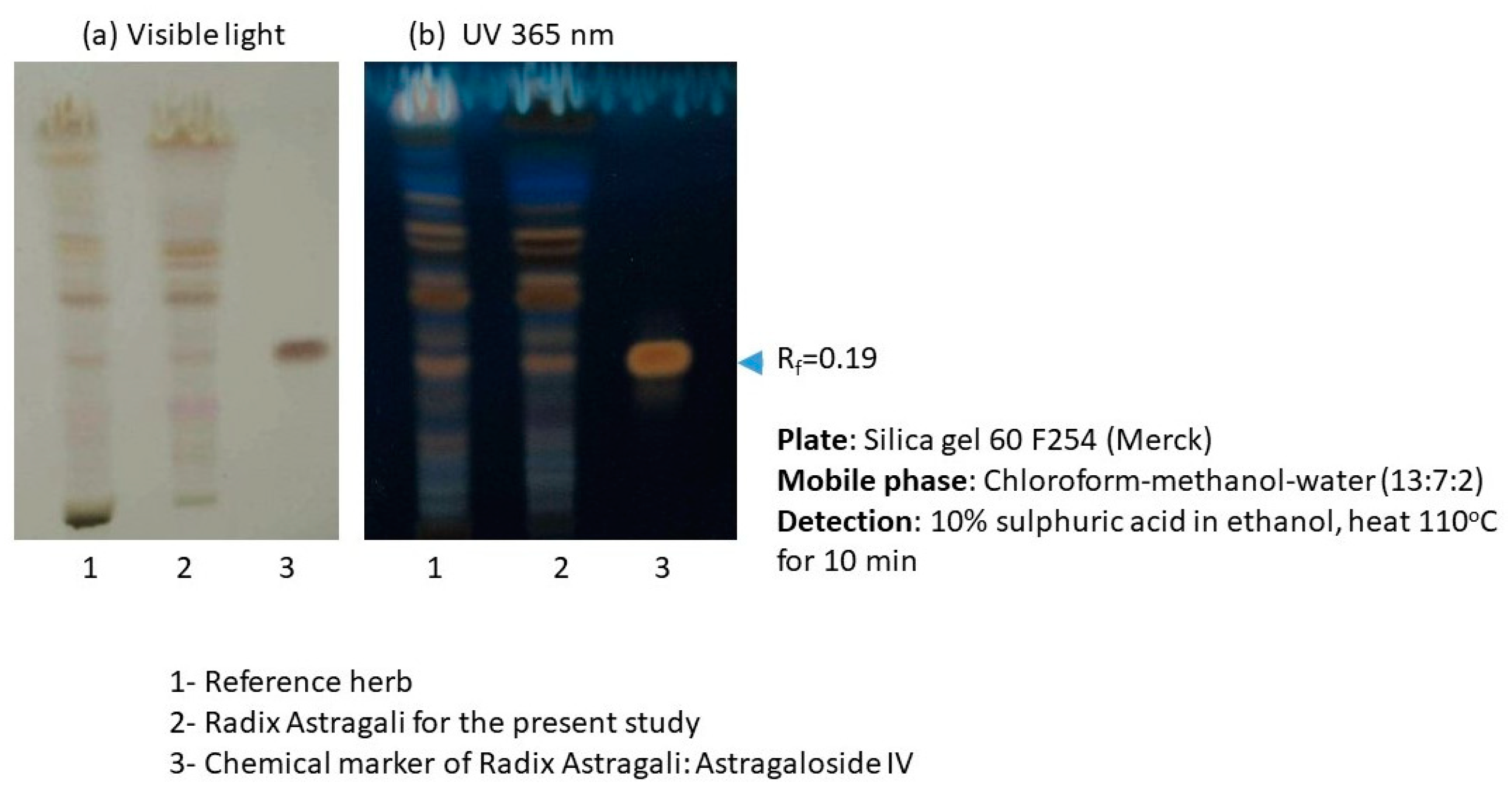 Molecules | Free Full-Text | Creating a Vaccine-like Supplement