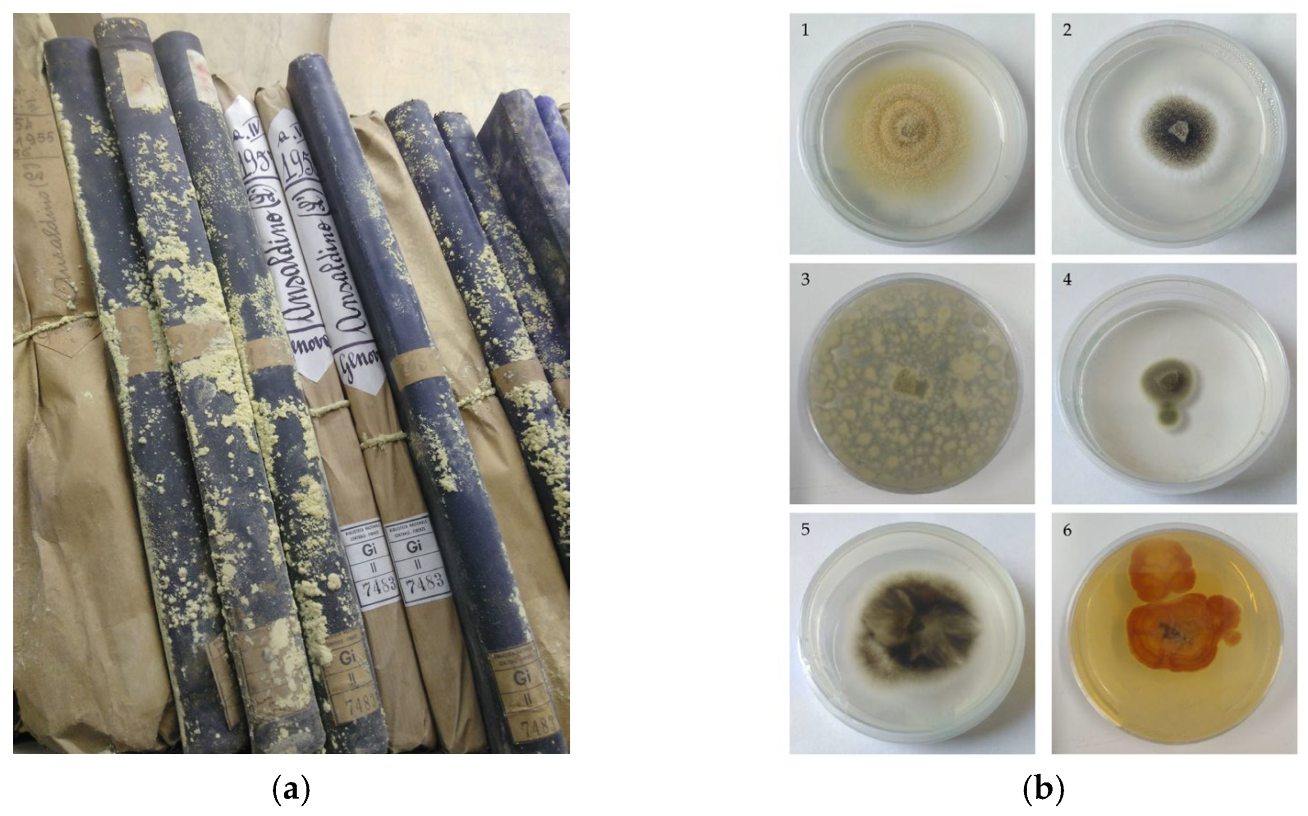 Molecules 28 05003 g001 Molecules 28 05003 g001