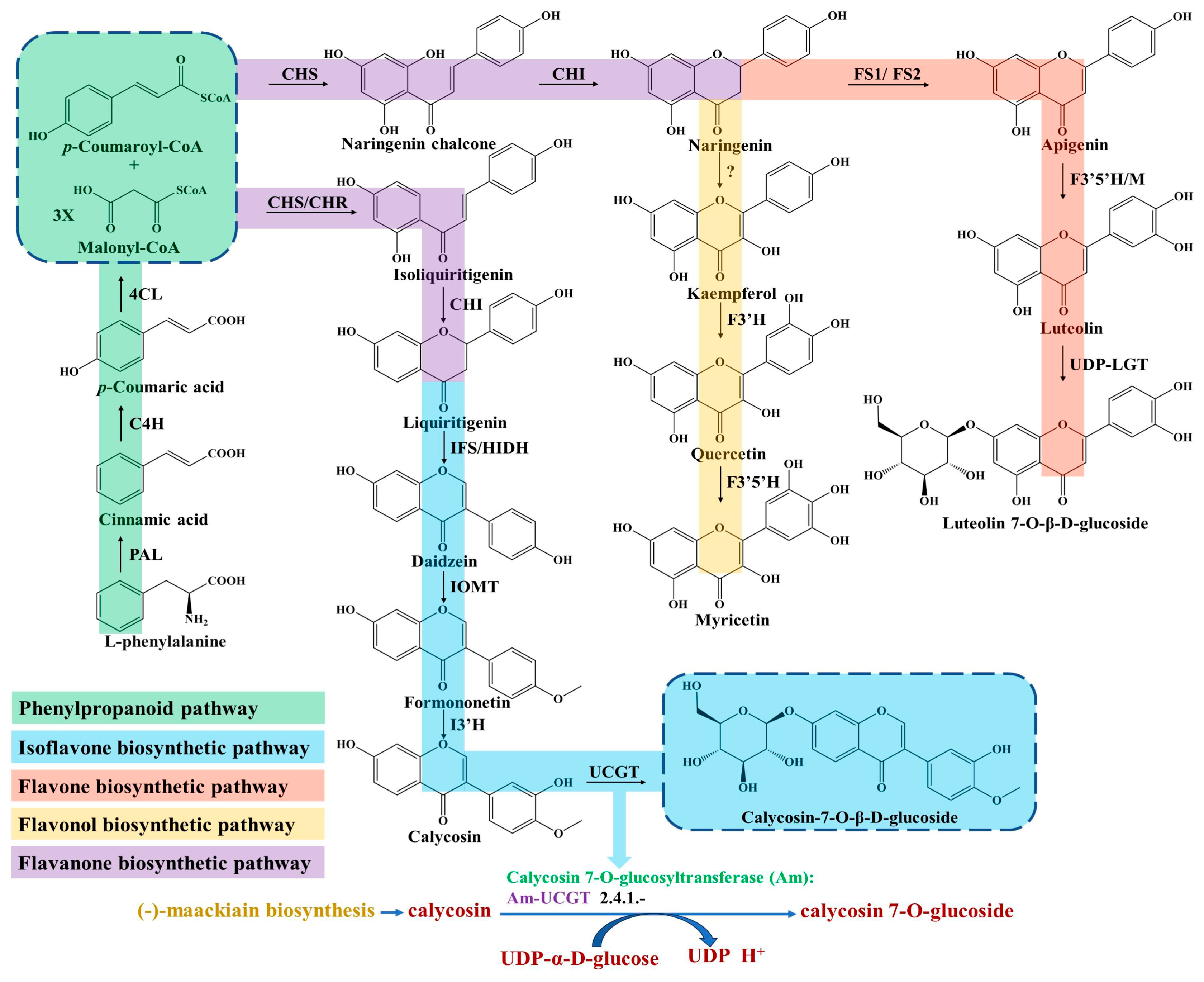 Molecules 28 05018 g001 Molecules 28 05018 g001