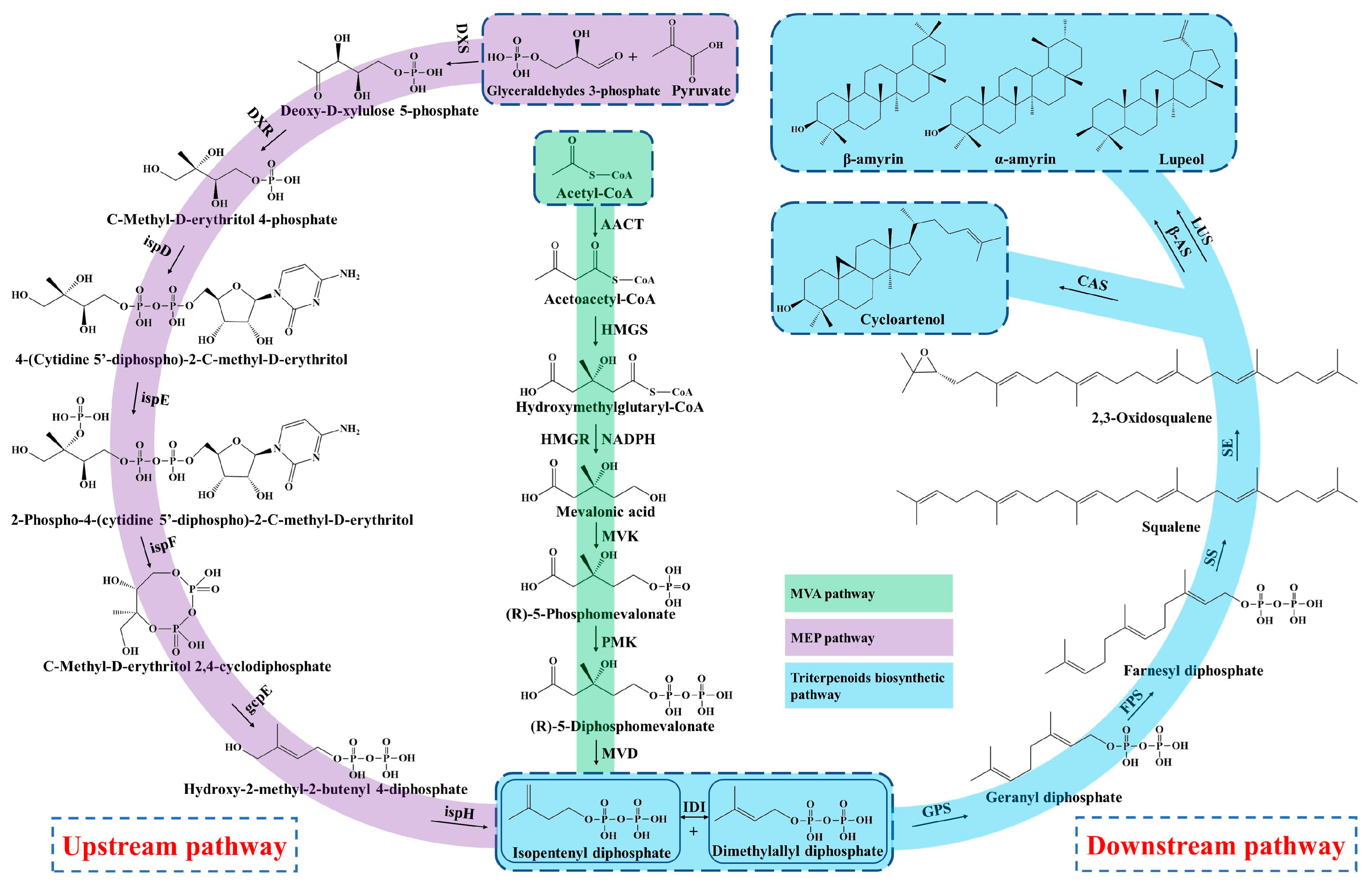 Molecules 28 05018 g002 Molecules 28 05018 g002