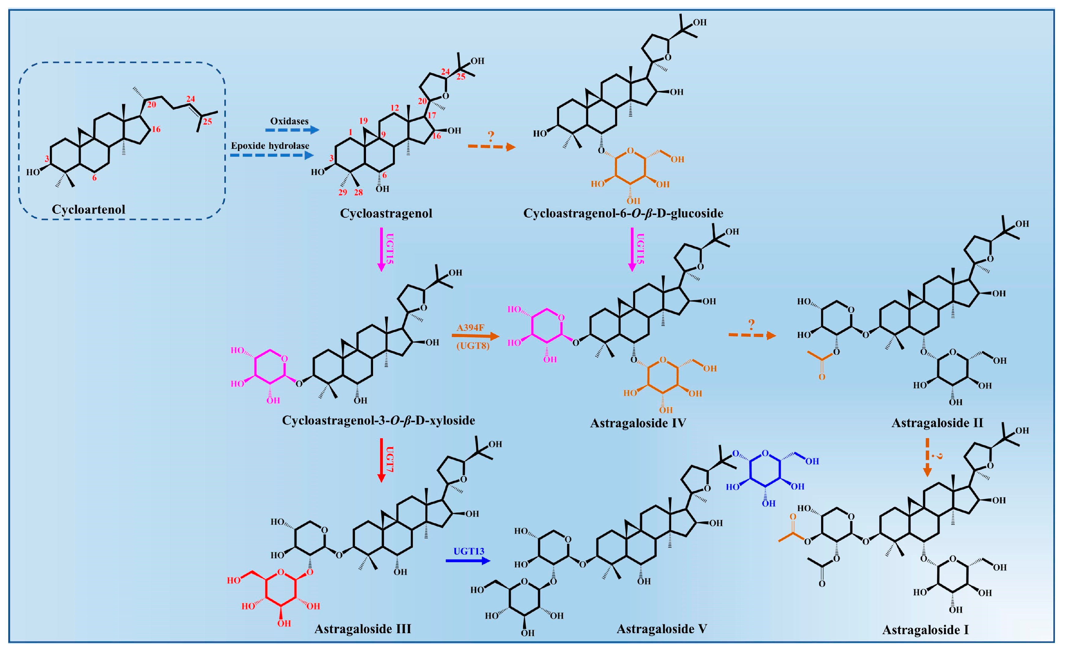 Molecules 28 05018 g003 Molecules 28 05018 g003
