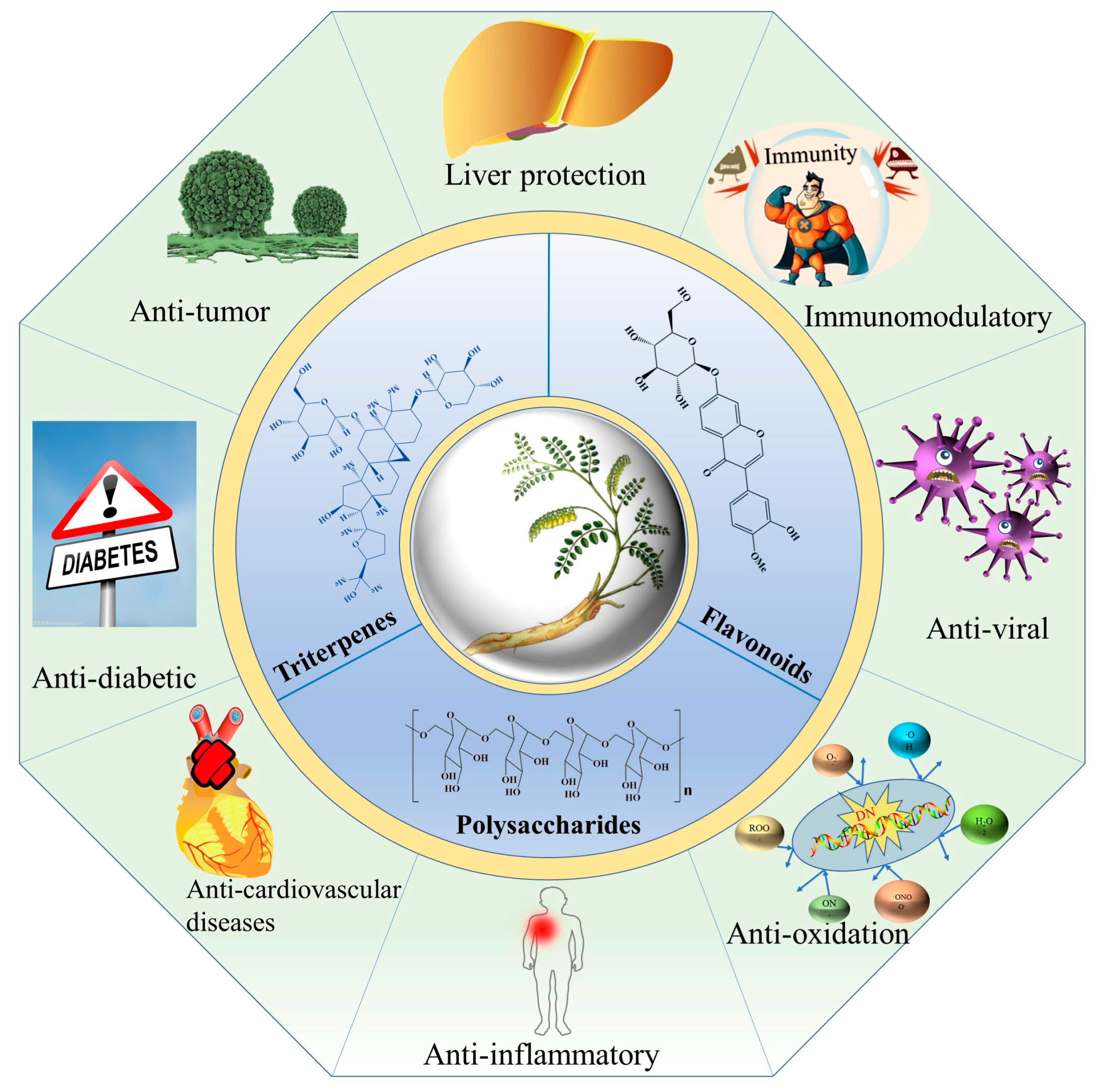 Molecules 28 05018 g004 Molecules 28 05018 g004
