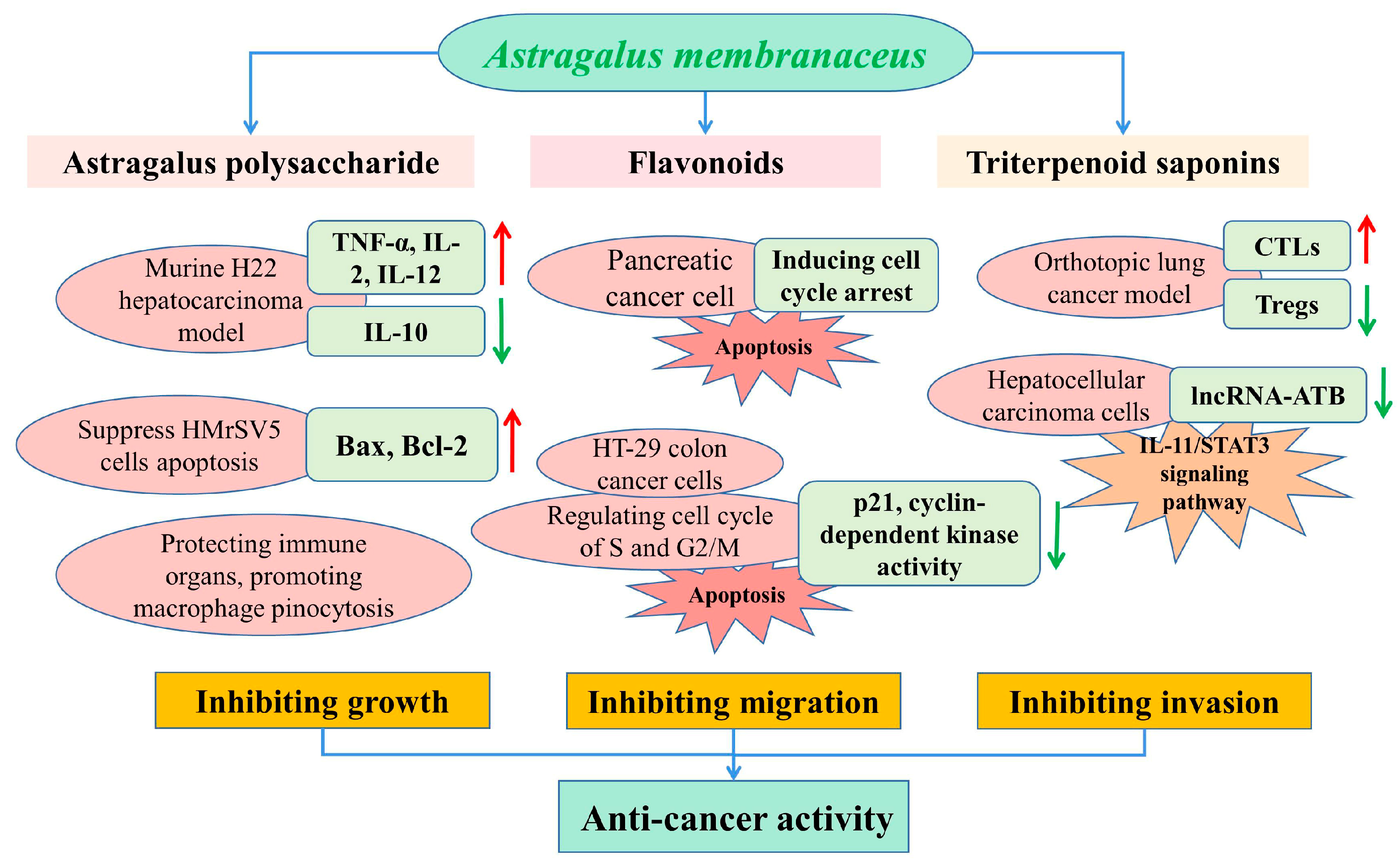 Molecules 28 05018 g005 Molecules 28 05018 g005