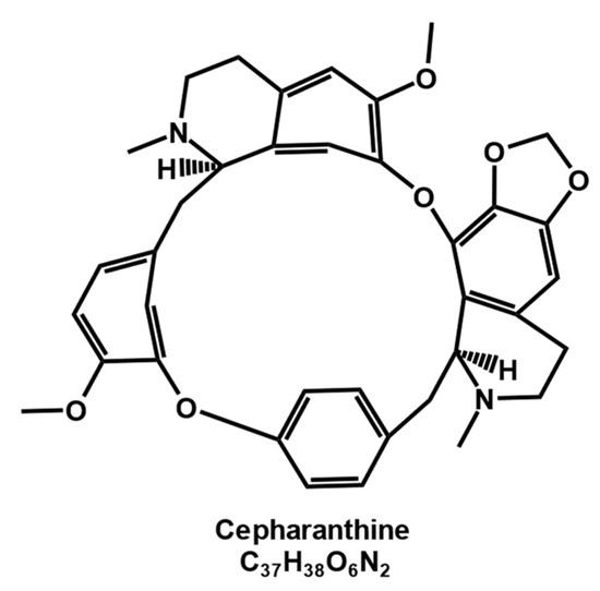 Teflon - Molecule of the Month June 2009 - HTML version