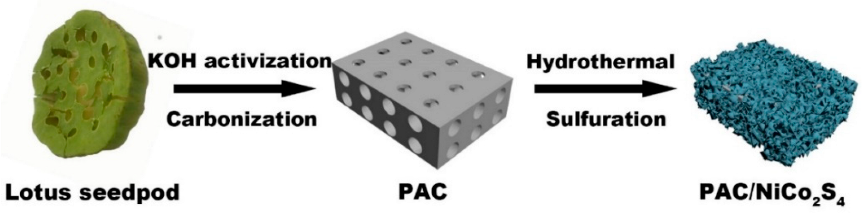 Molecules 28 05020 g001 Molecules 28 05020 g001