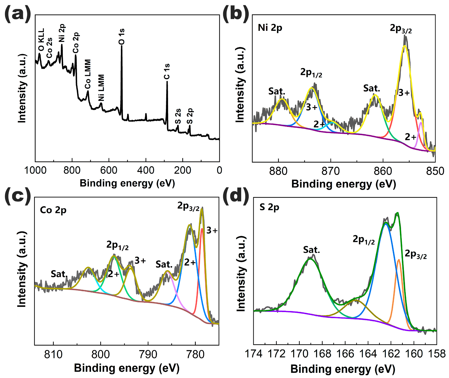 Molecules 28 05020 g004 Molecules 28 05020 g004