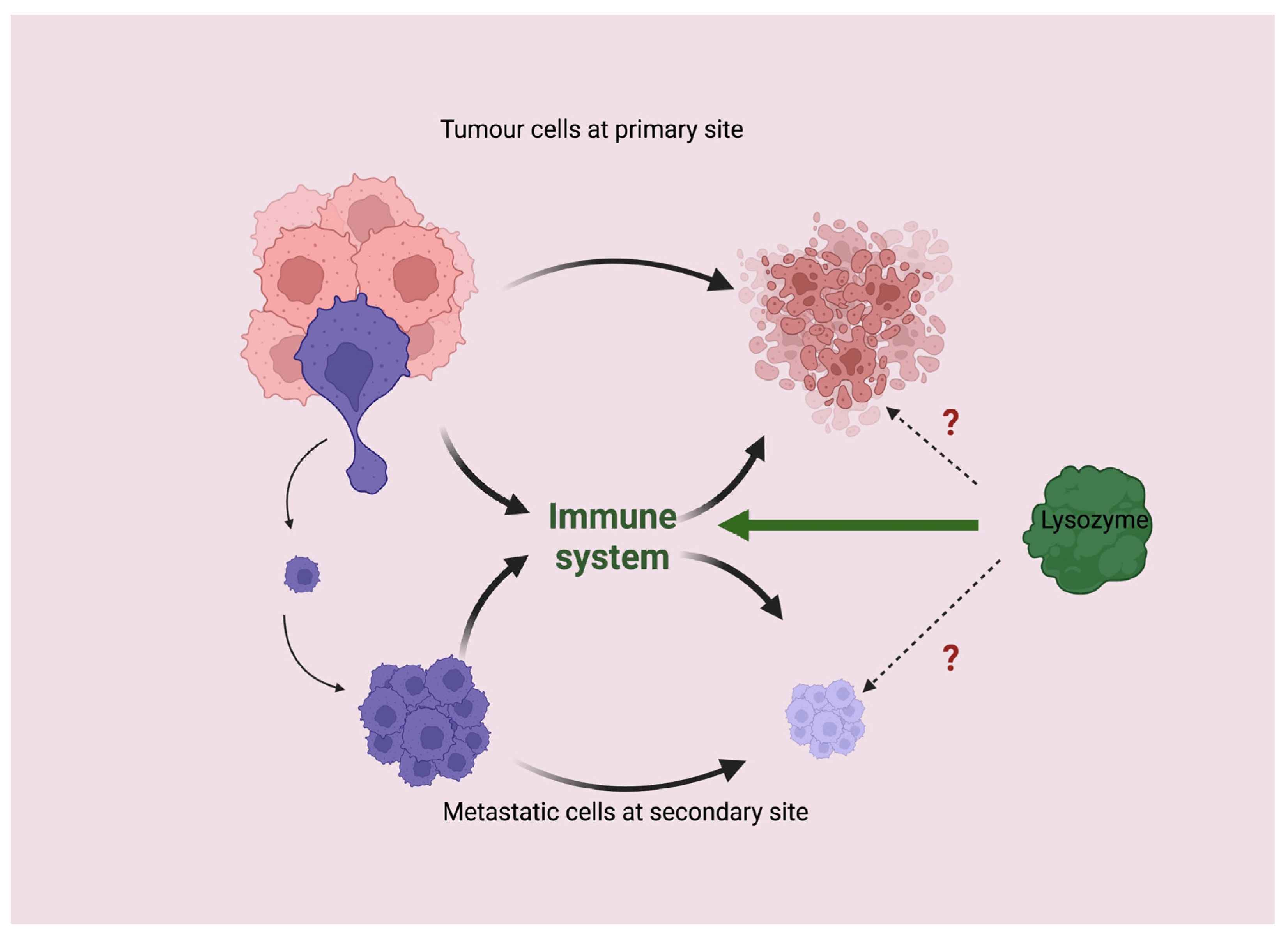 Molecules 28 05027 g002