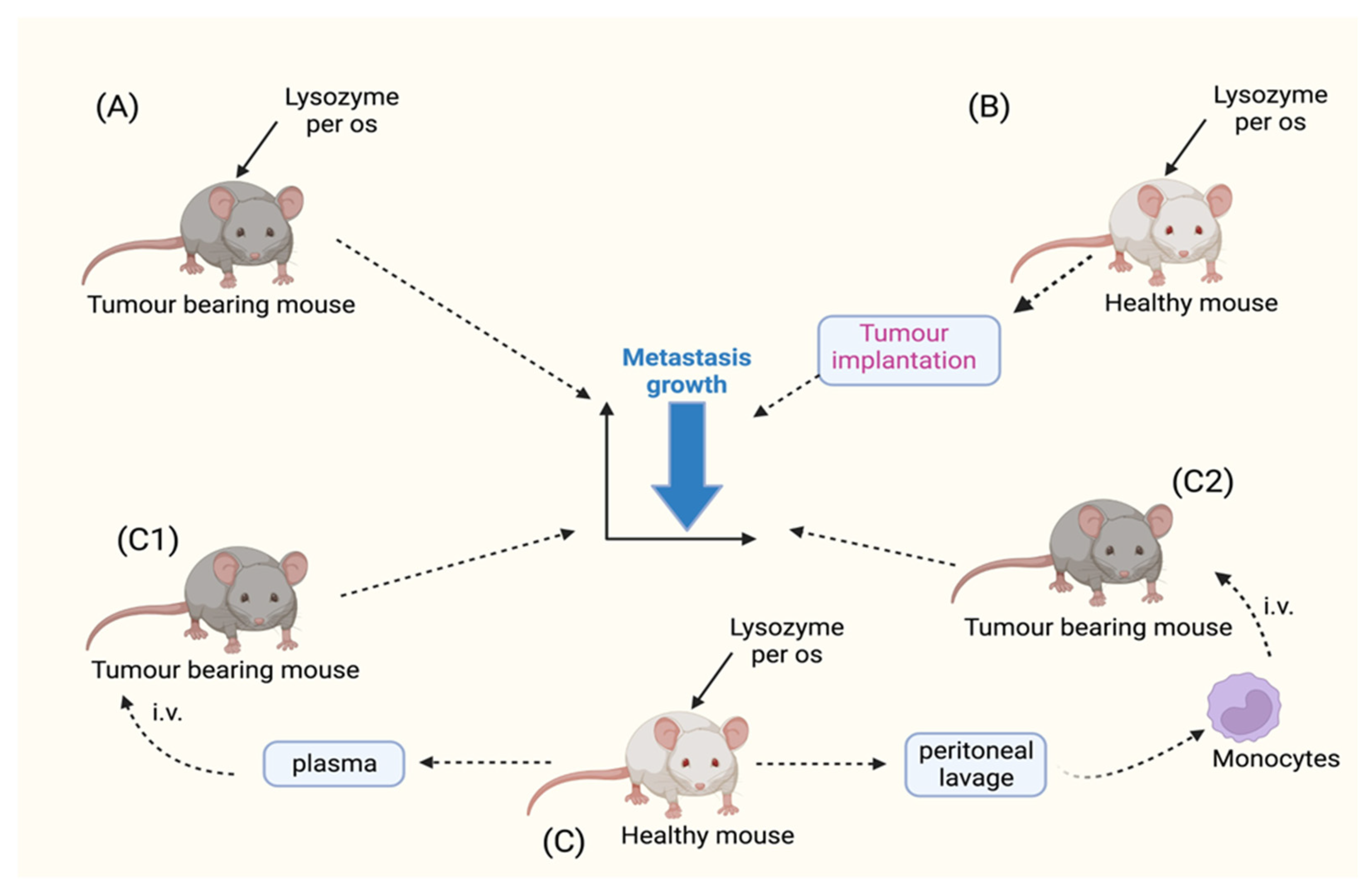 Molecules 28 05027 g003