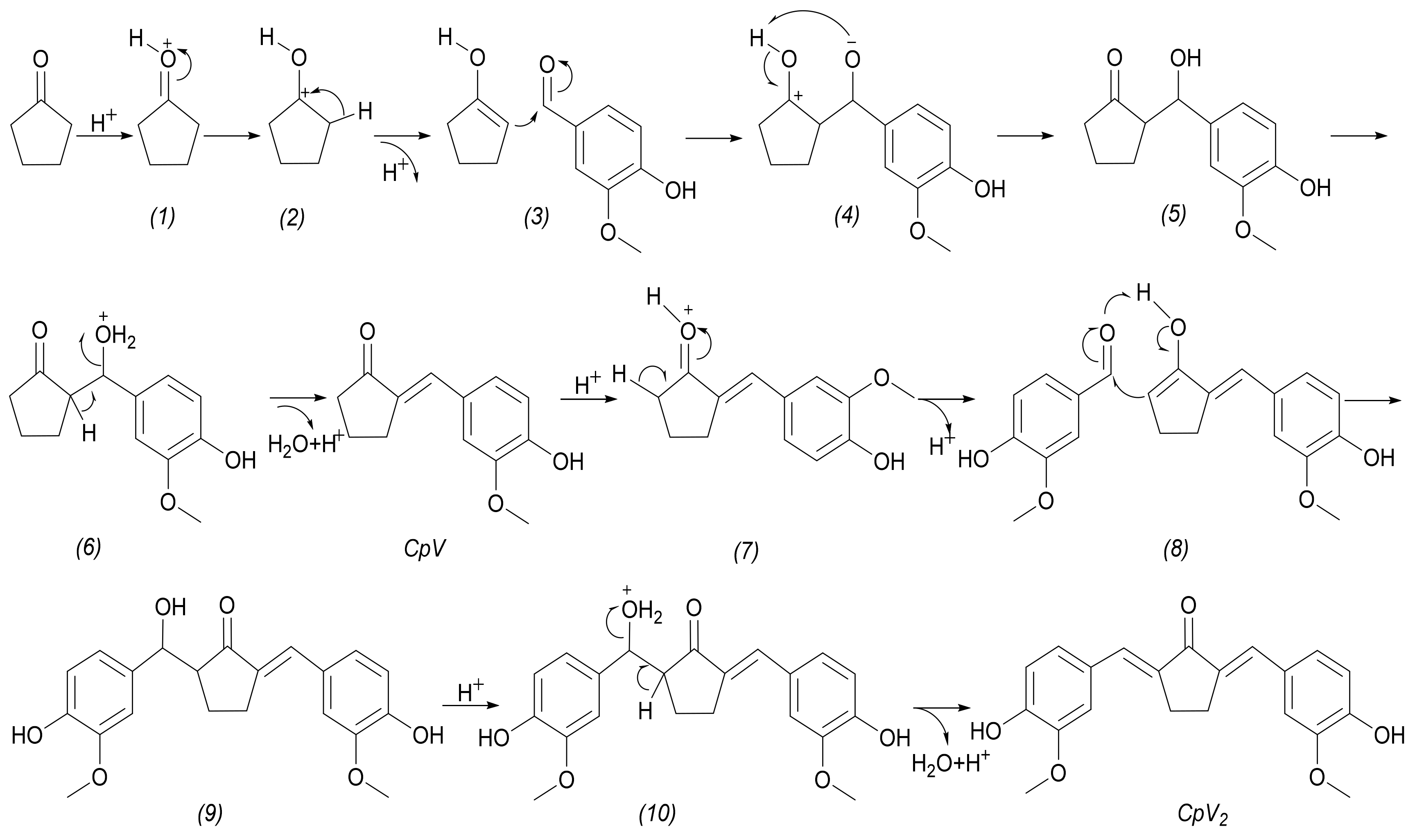 Molecules 28 05029 sch002 Molecules 28 05029 sch002