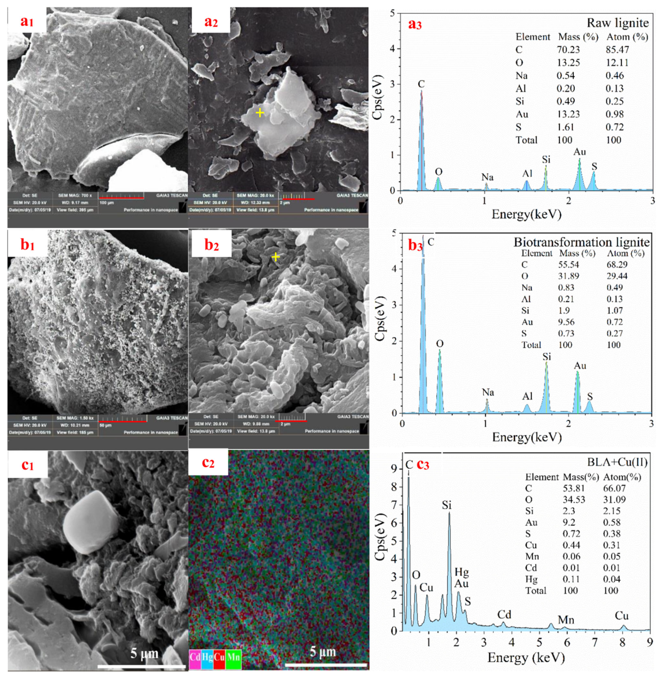 Molecules 28 05031 g008