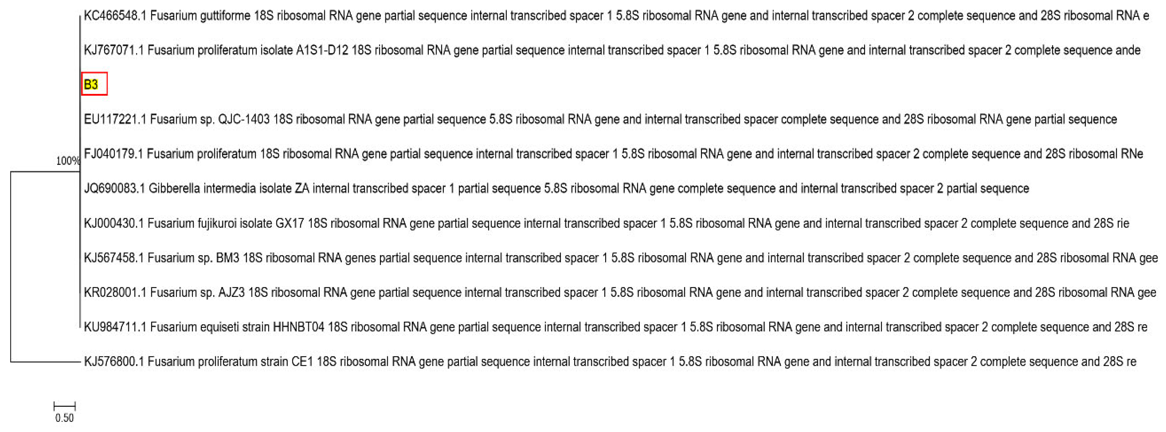 Molecules 28 05031 g011